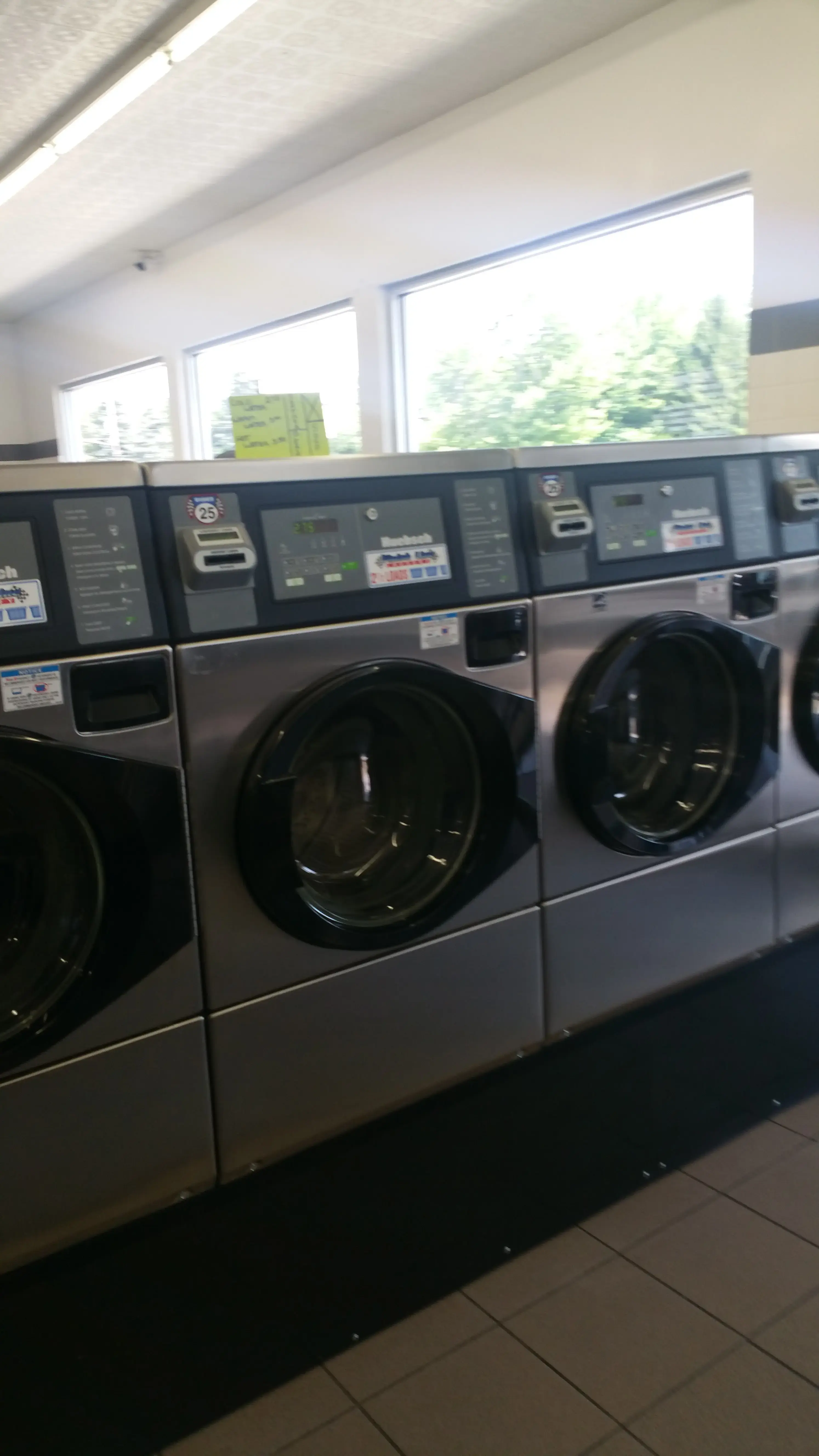 Finish Line Laundry thumbnail 12