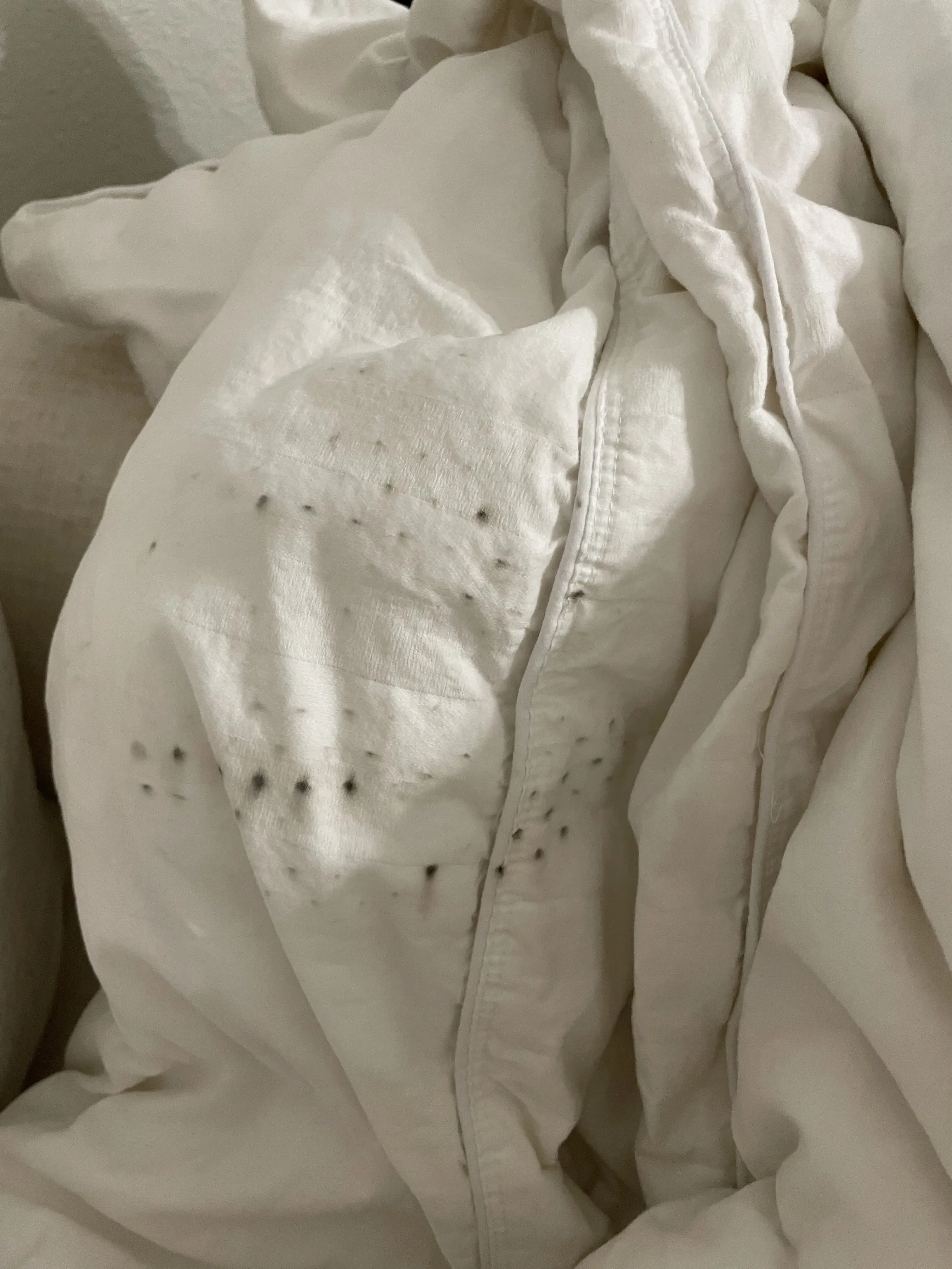 Five Star Cleaners thumbnail 2