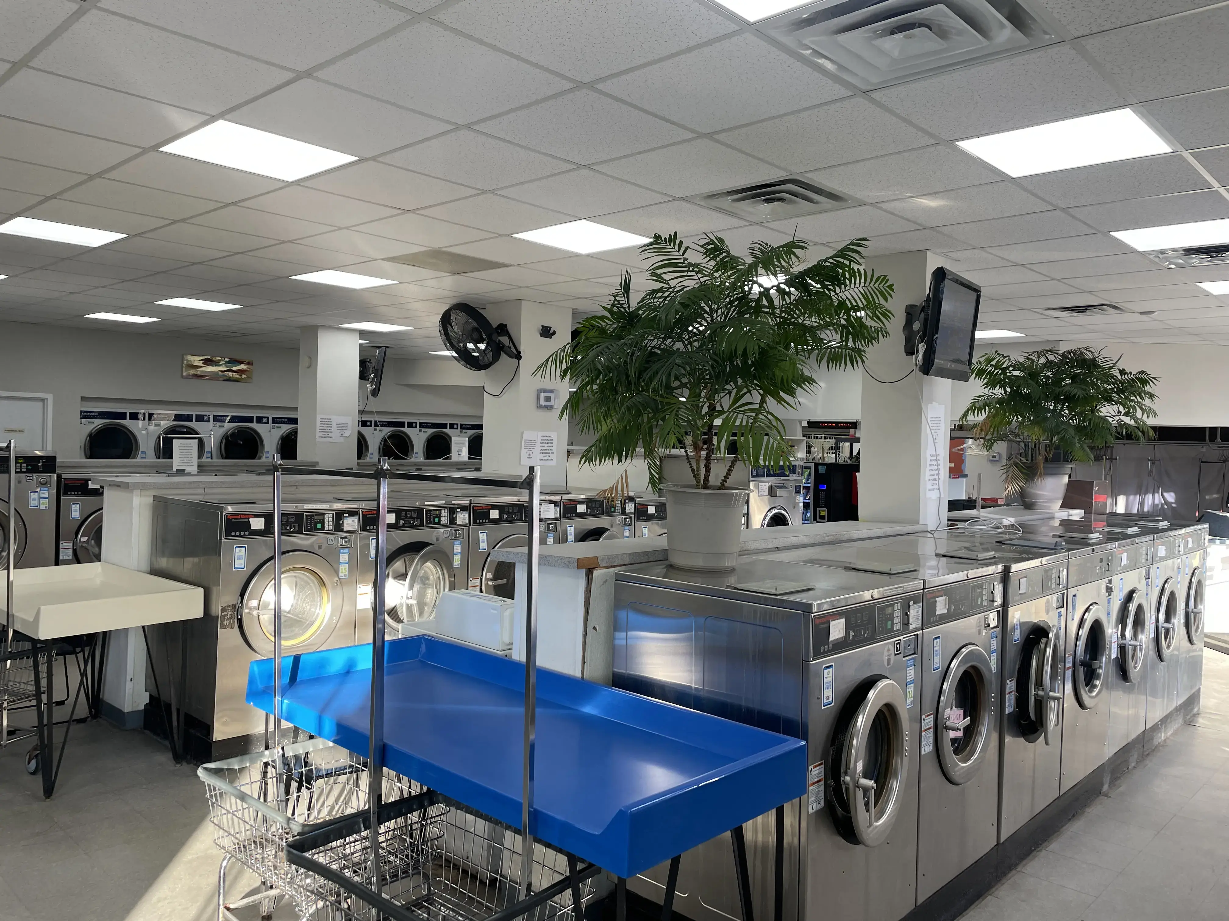 Flamingo Laundry - Image 17