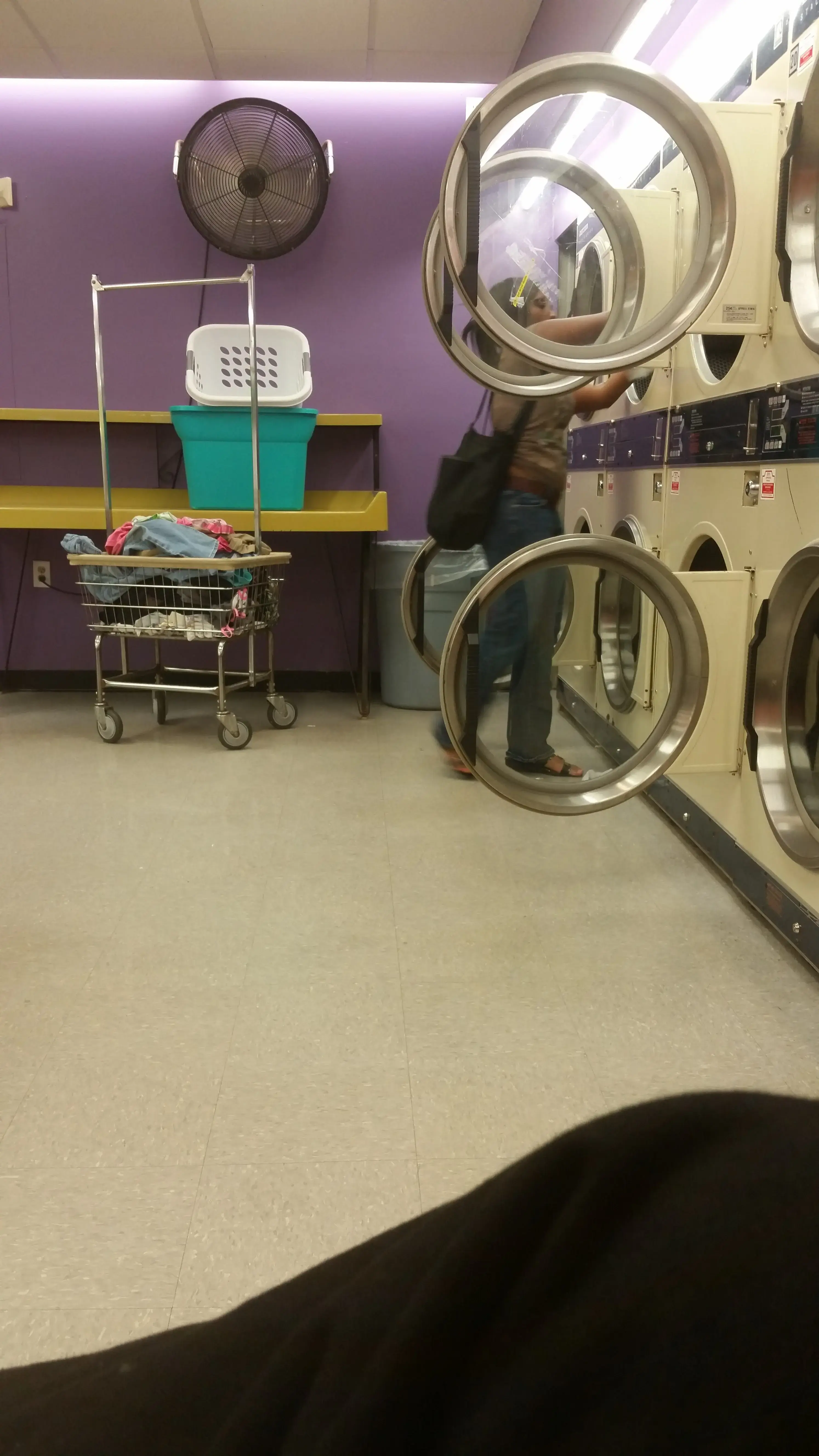 Flamingo Laundry - Image 18