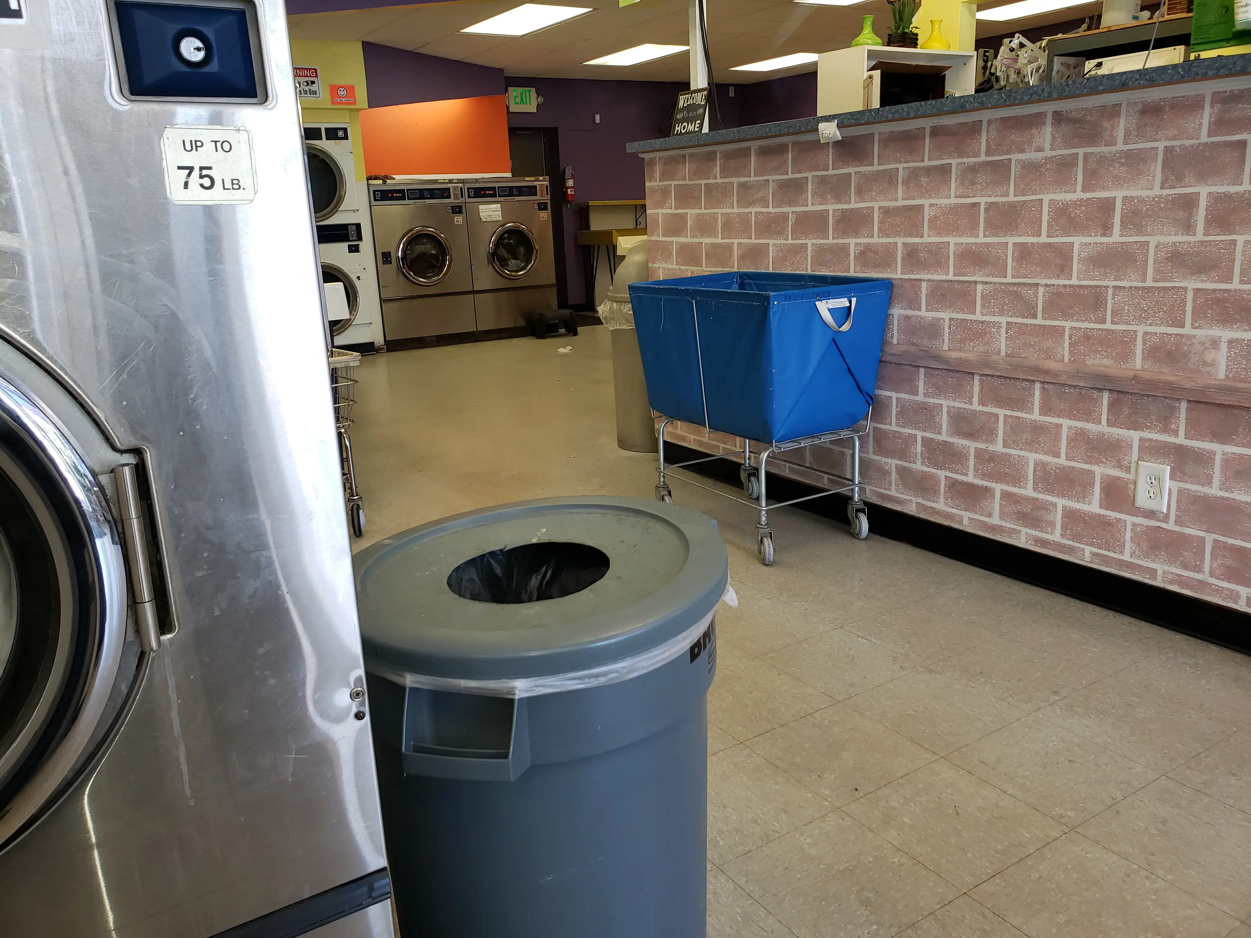 Flamingo Laundry - Image 4