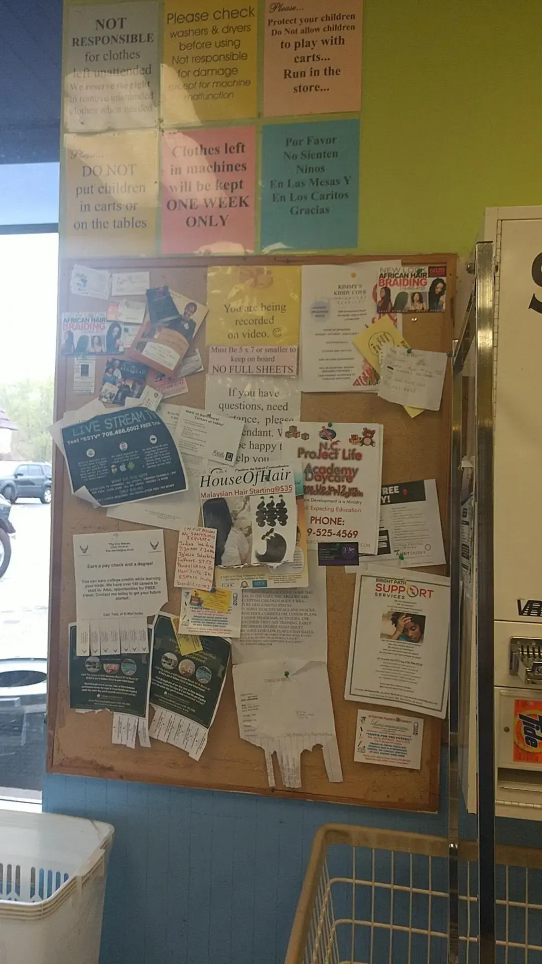 Flamingo Laundry thumbnail 16