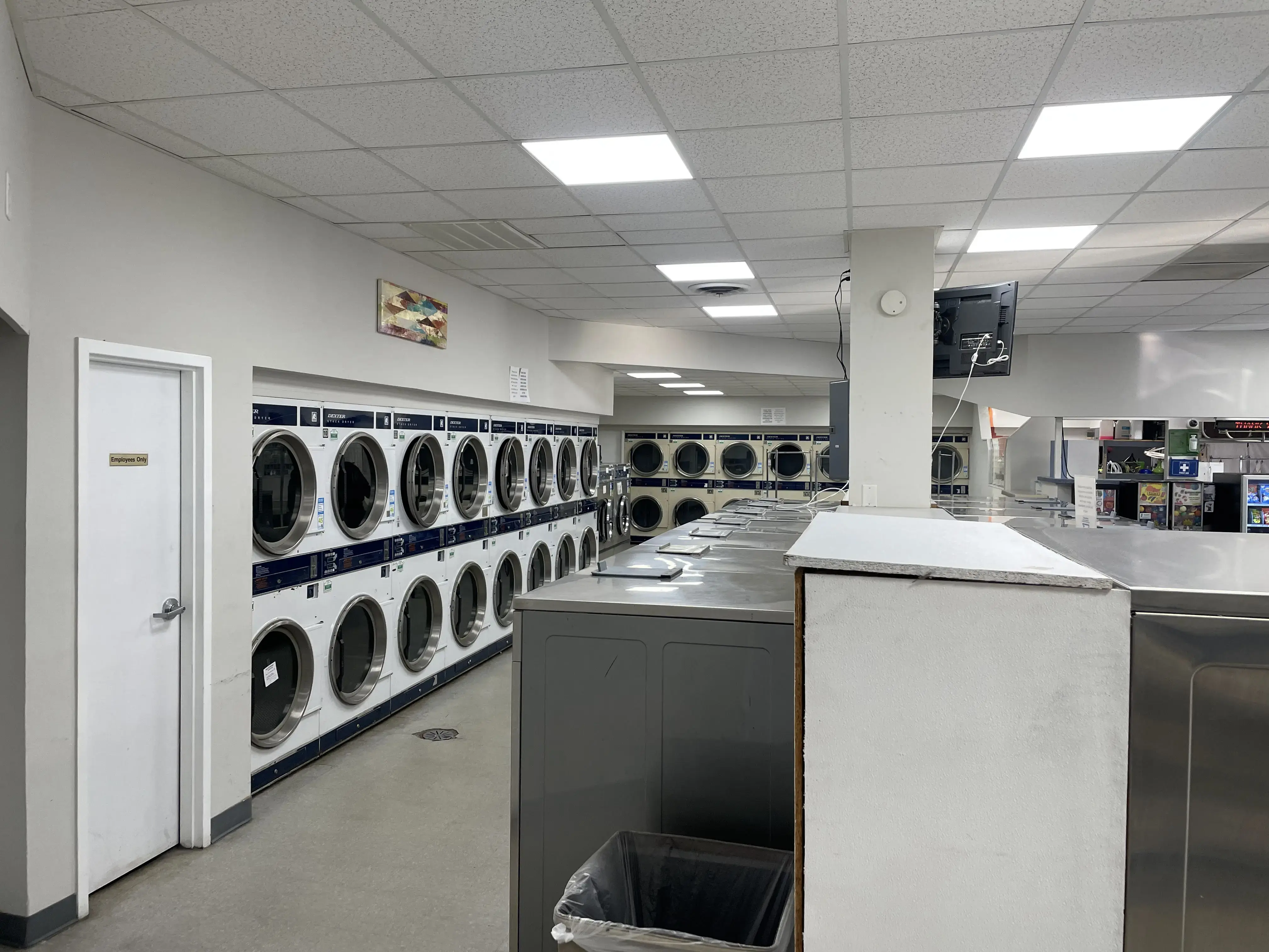 Flamingo Laundry thumbnail 12