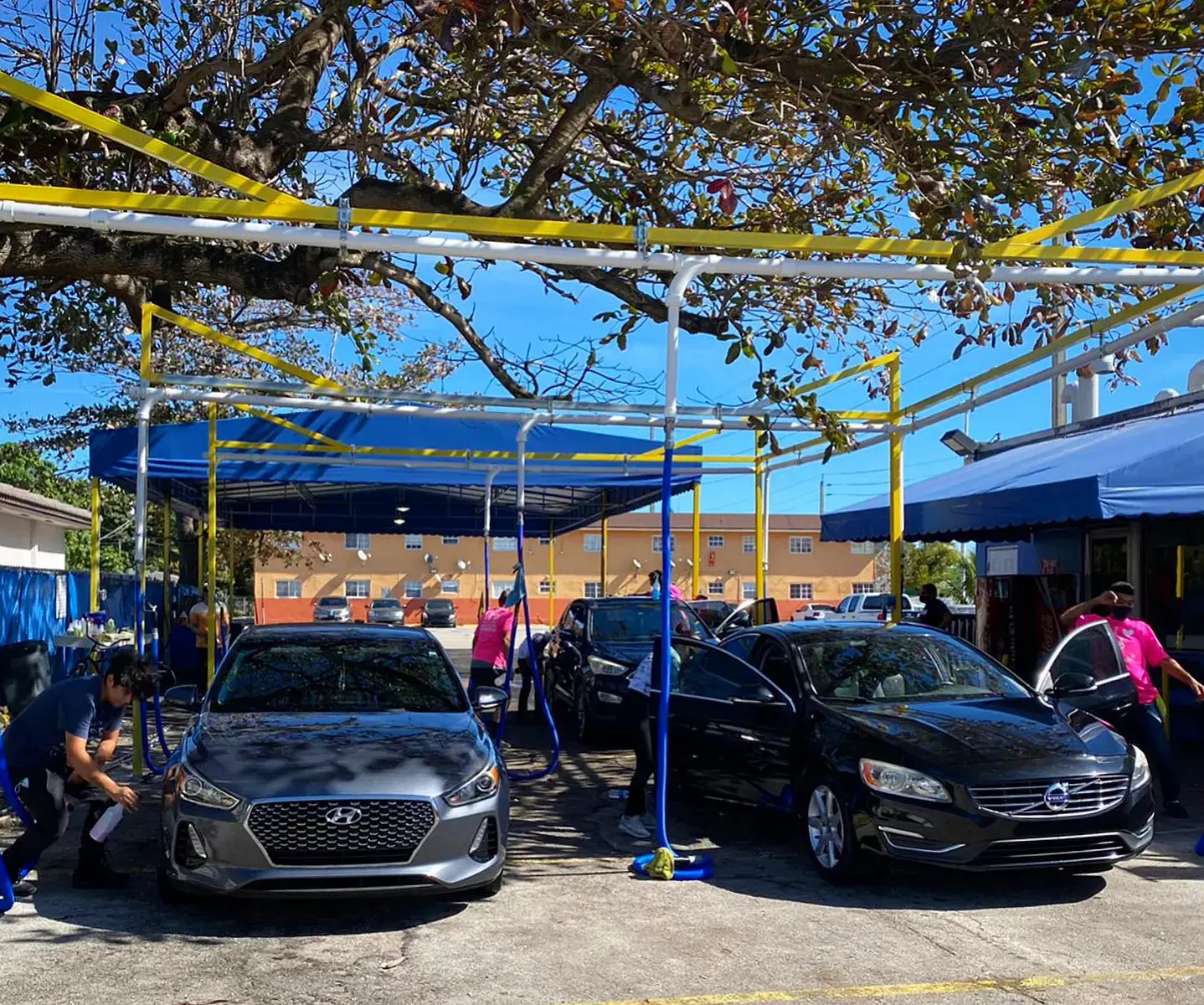 Flamingos Laundromat thumbnail 3