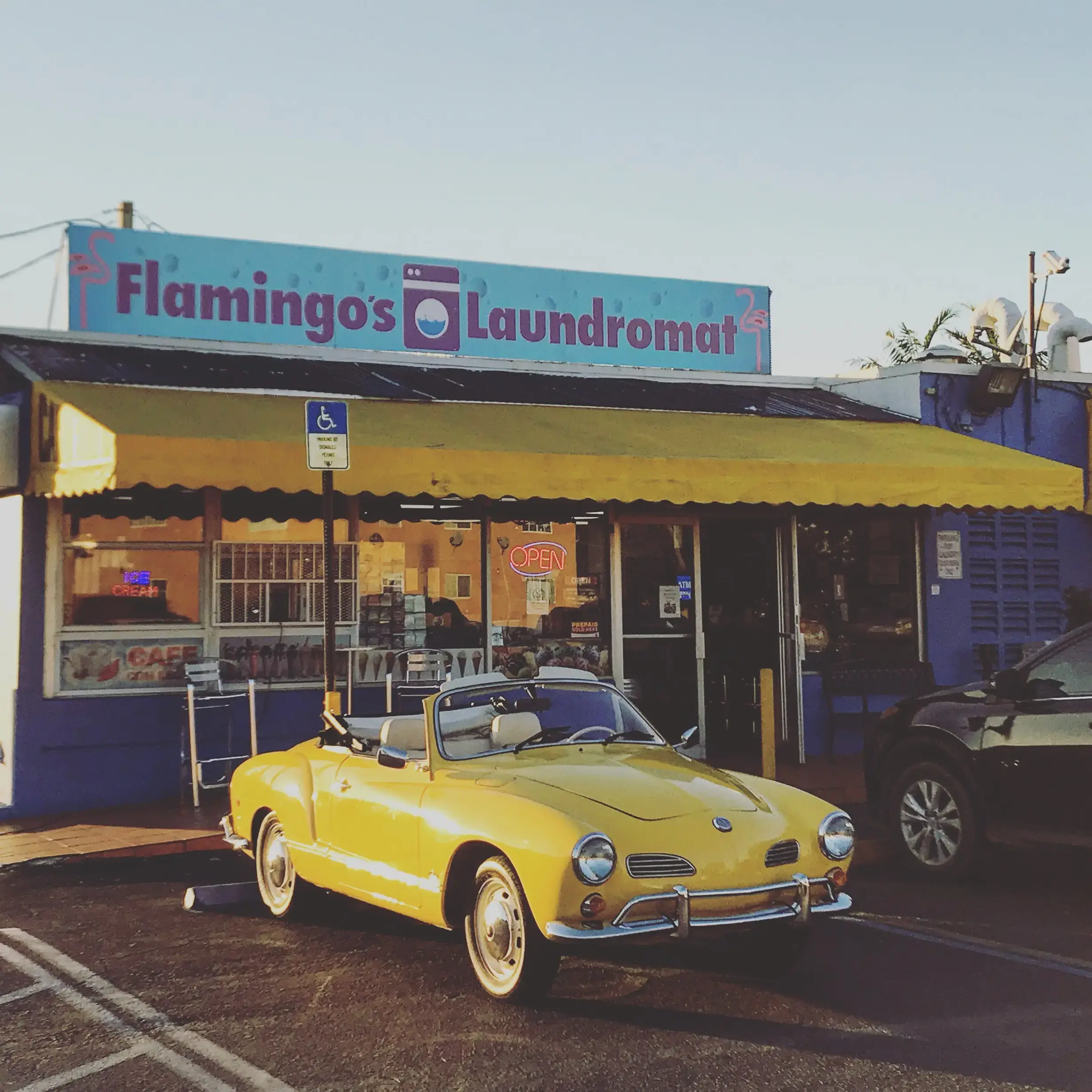 Flamingos Laundromat - Image 7