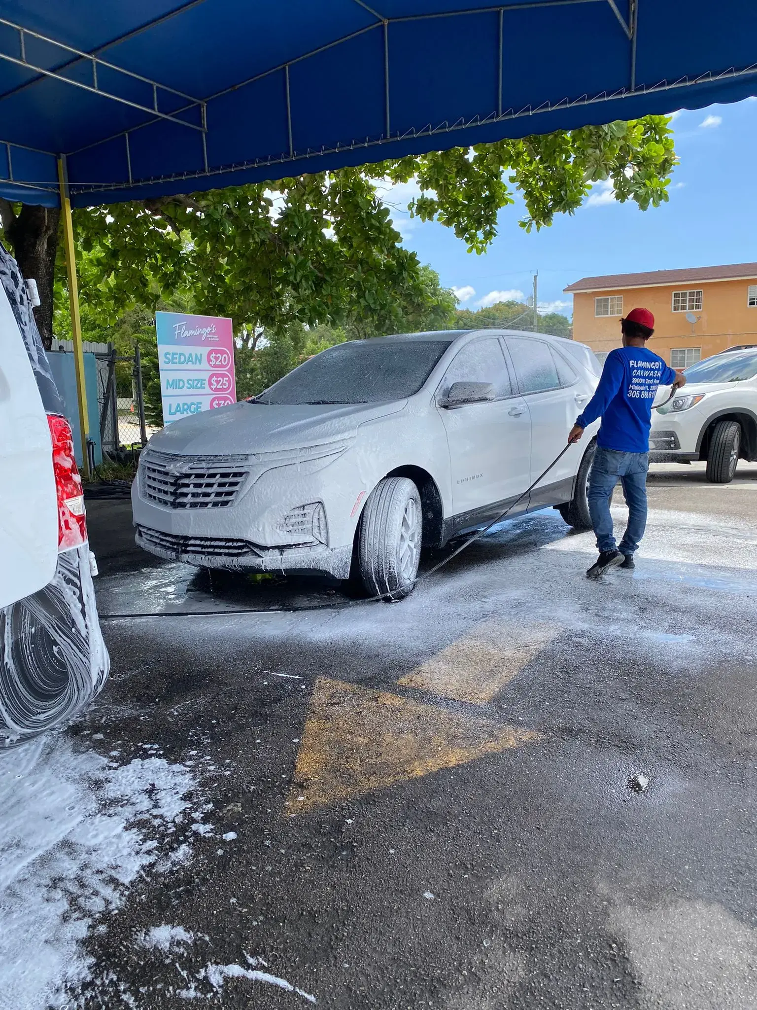 Flamingos Laundromat - Image 8