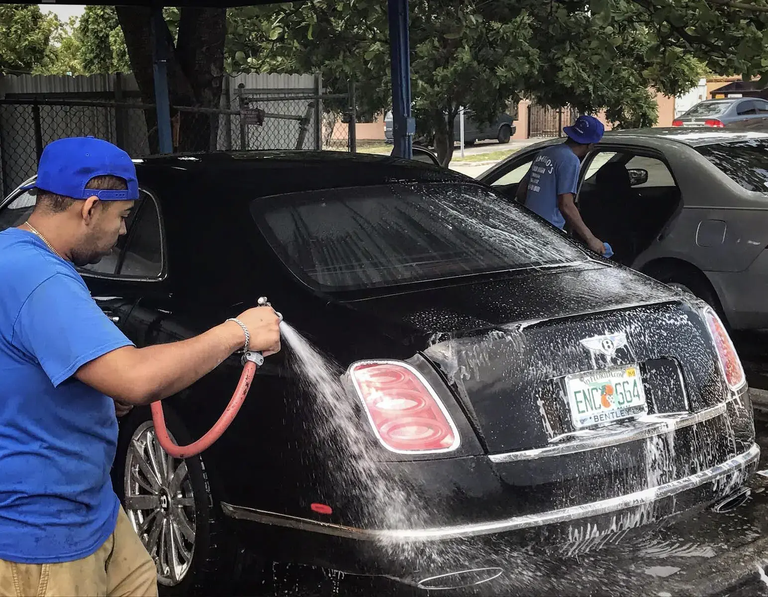 Flamingos Laundromat thumbnail 16