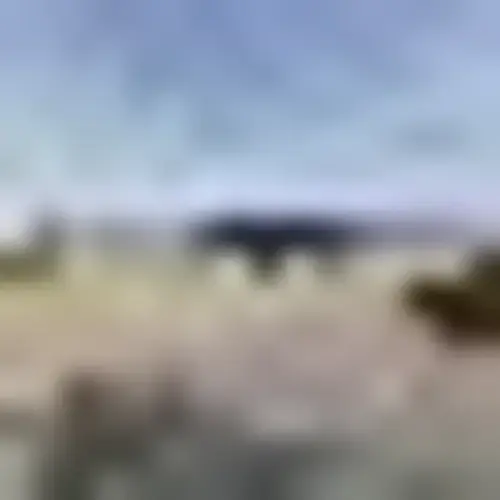 Flat Iron Laundry Center thumbnail 18