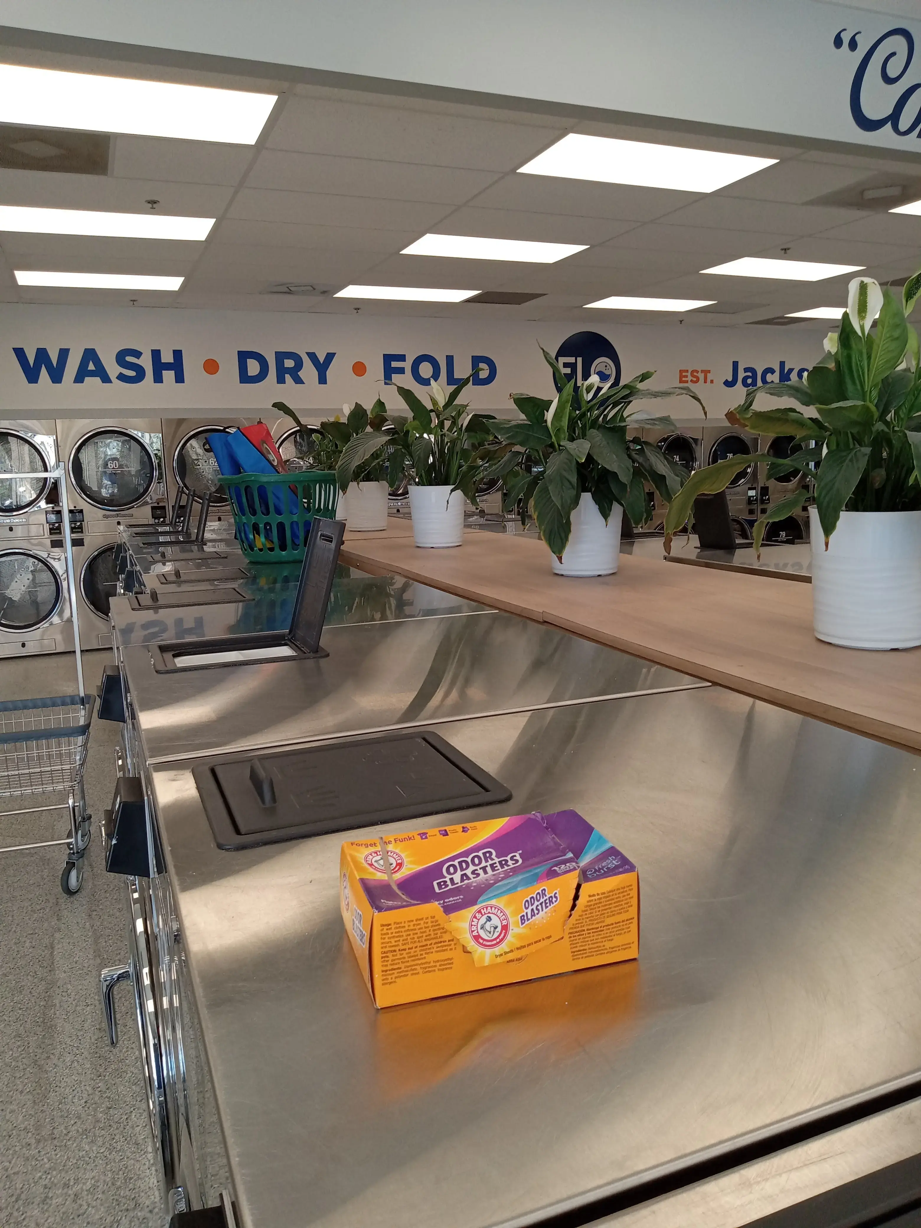 Flo Laundry thumbnail 6