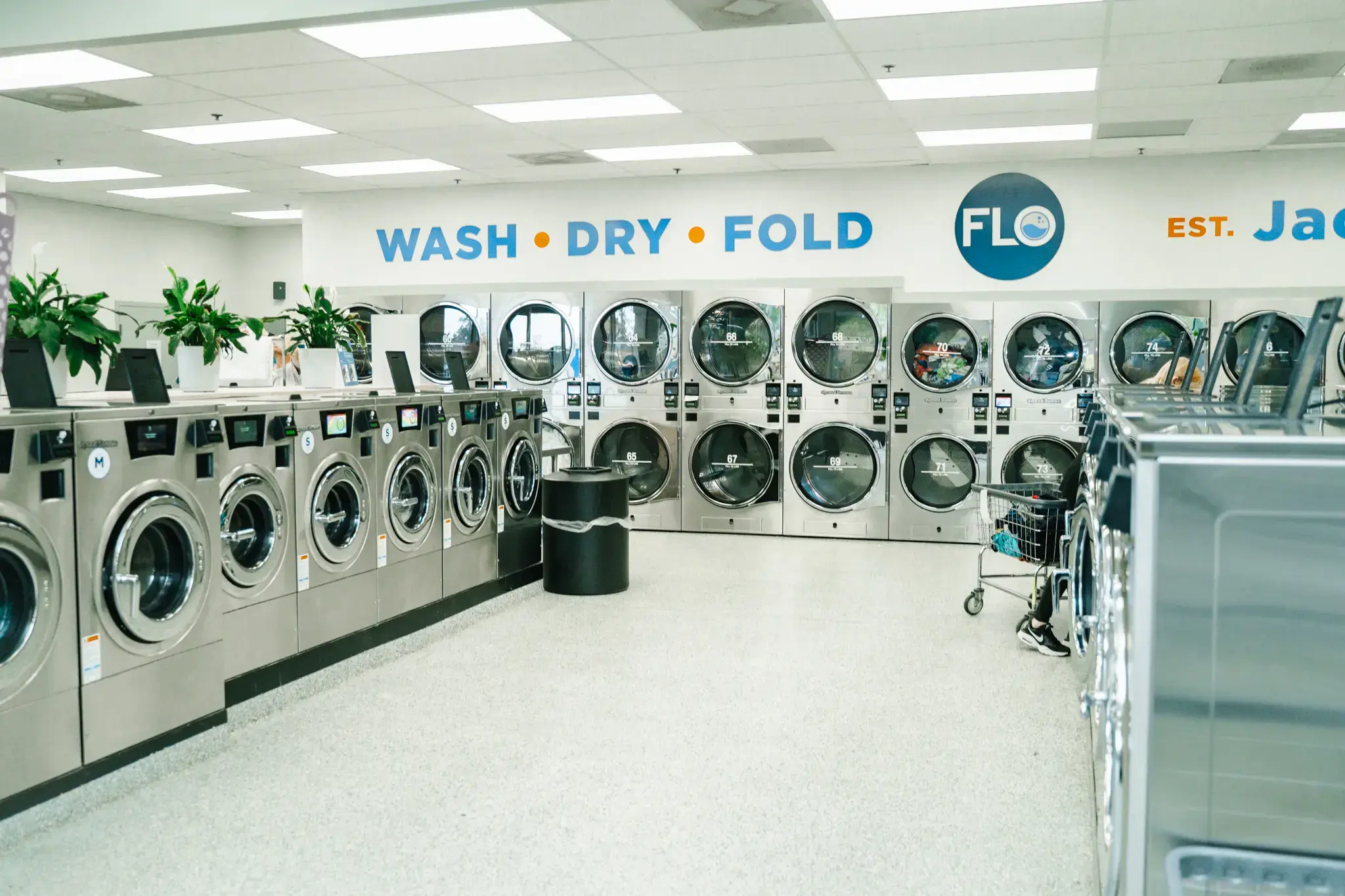 Flo Laundry thumbnail 5