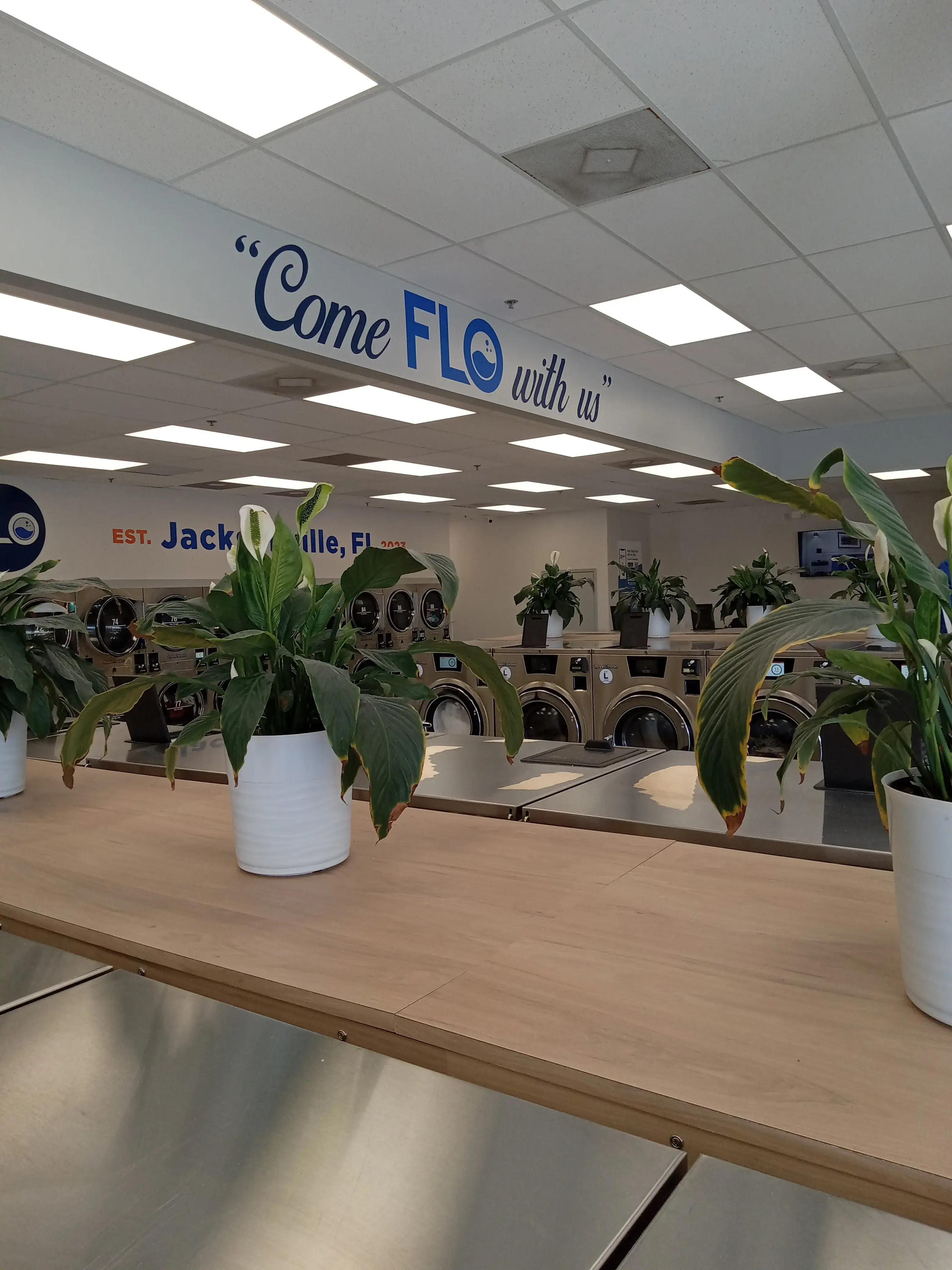 Flo Laundry - Image 14