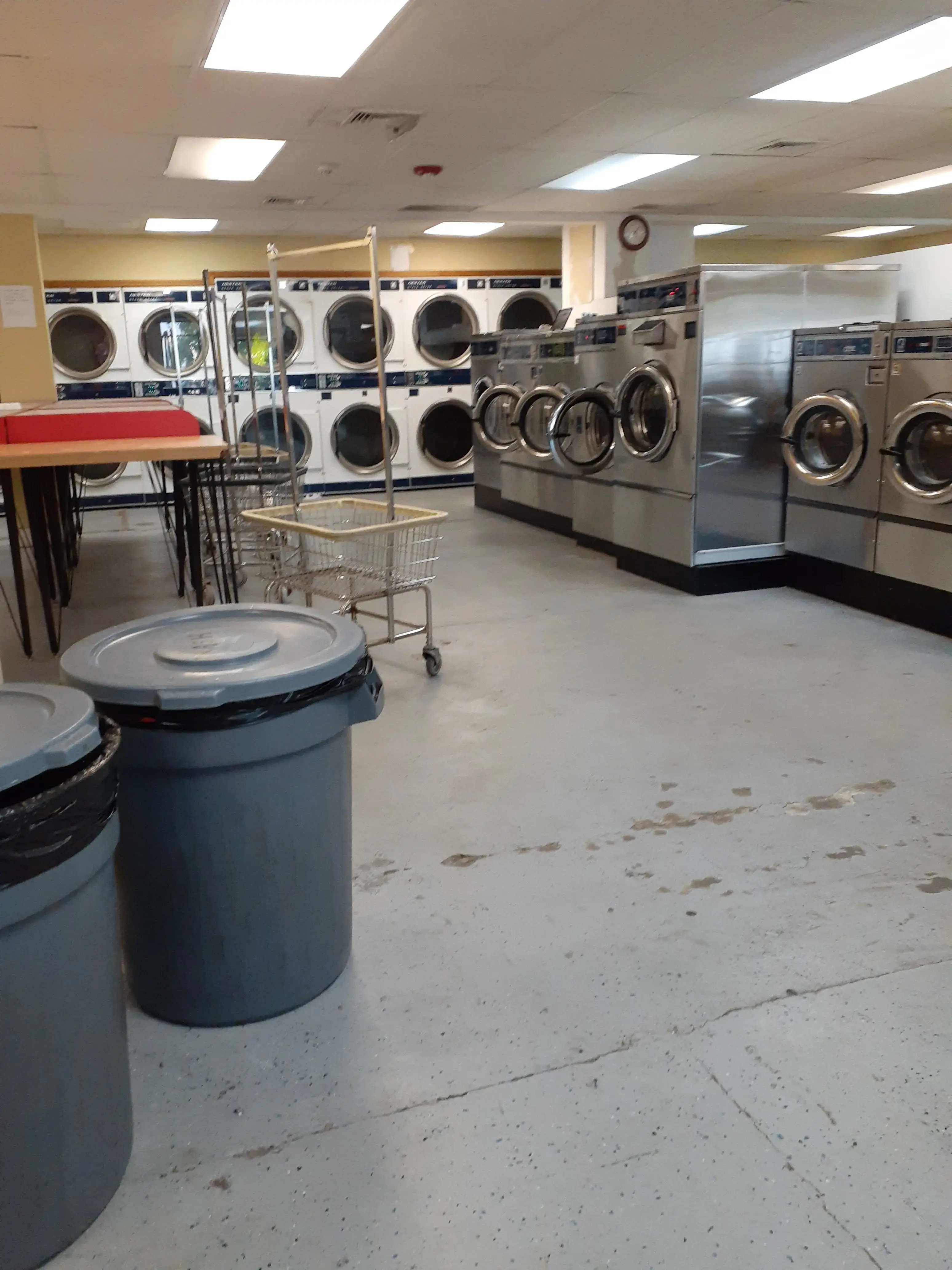 Fluff & Stuff Launderette thumbnail 18