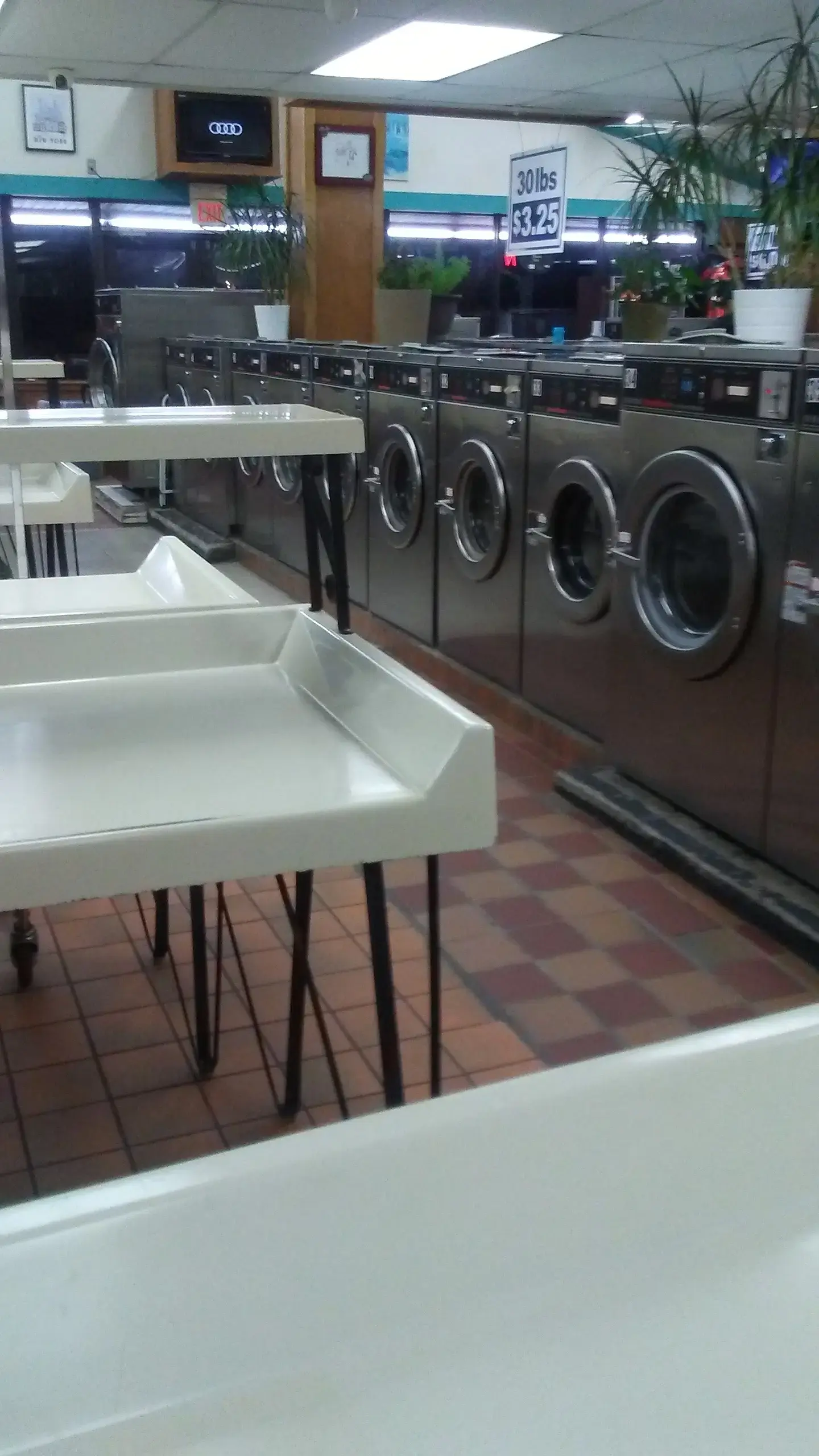 Forest Laundromat thumbnail 10