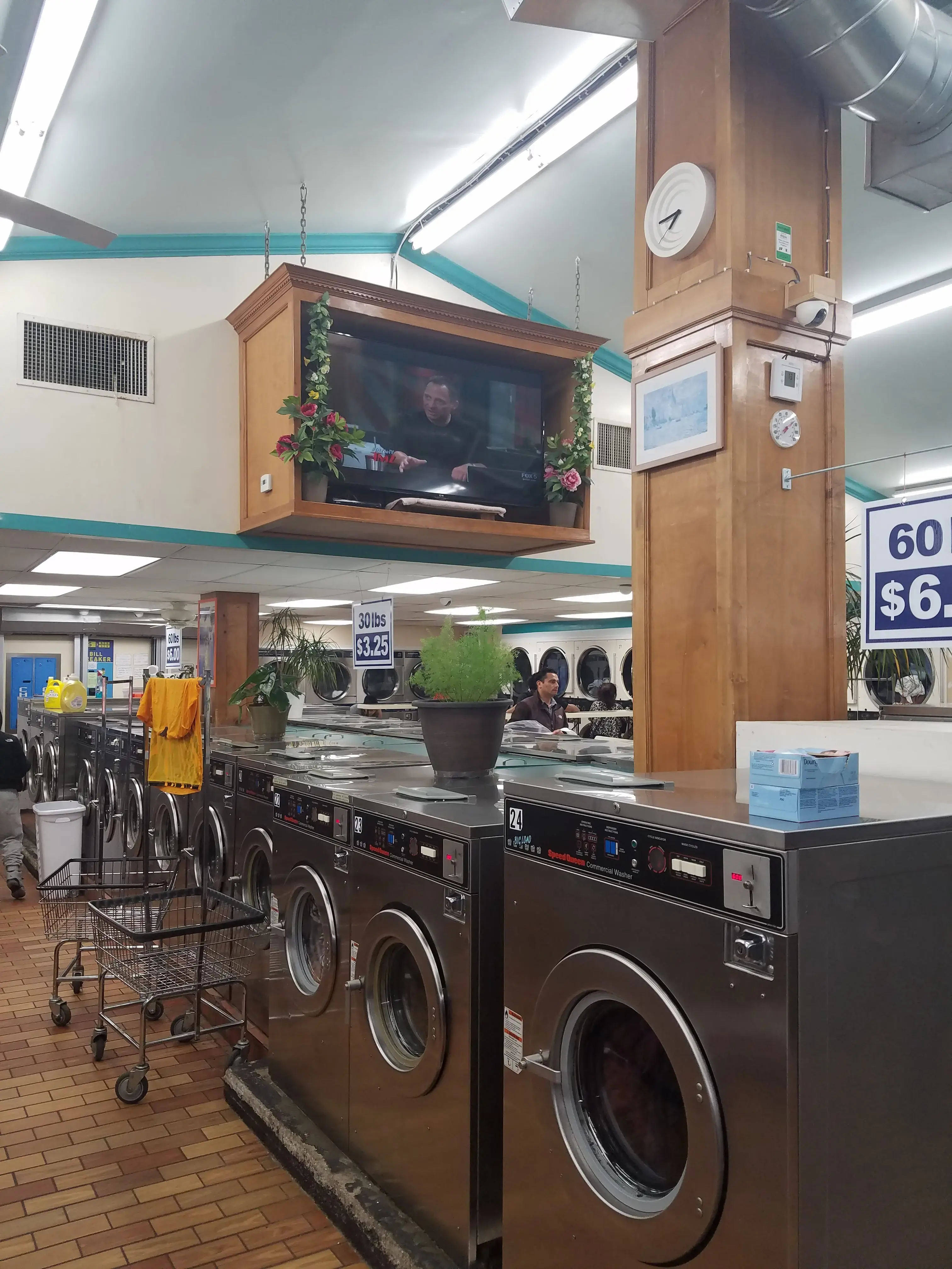 Forest Laundromat - Image 16