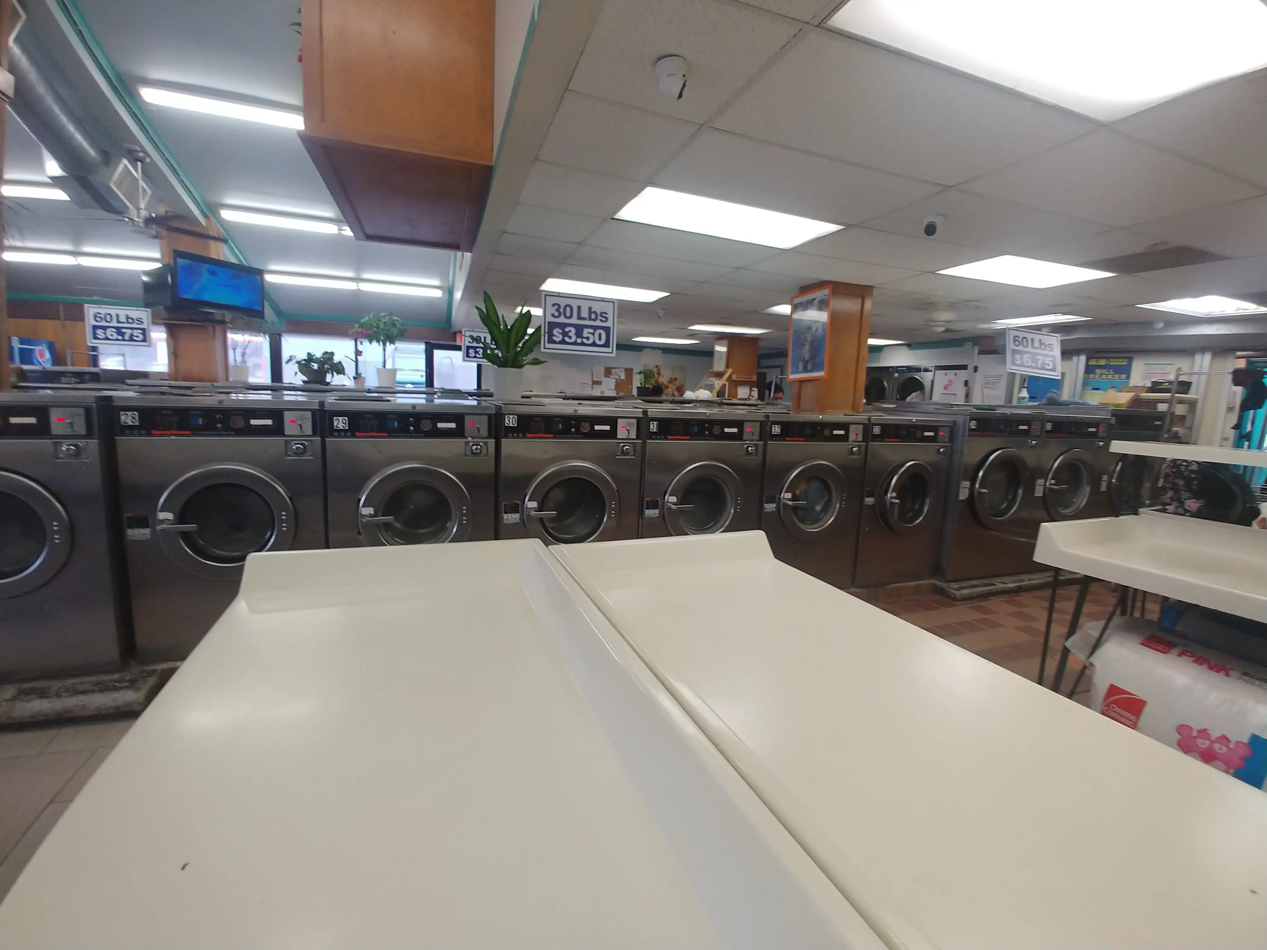 Forest Laundromat thumbnail 14