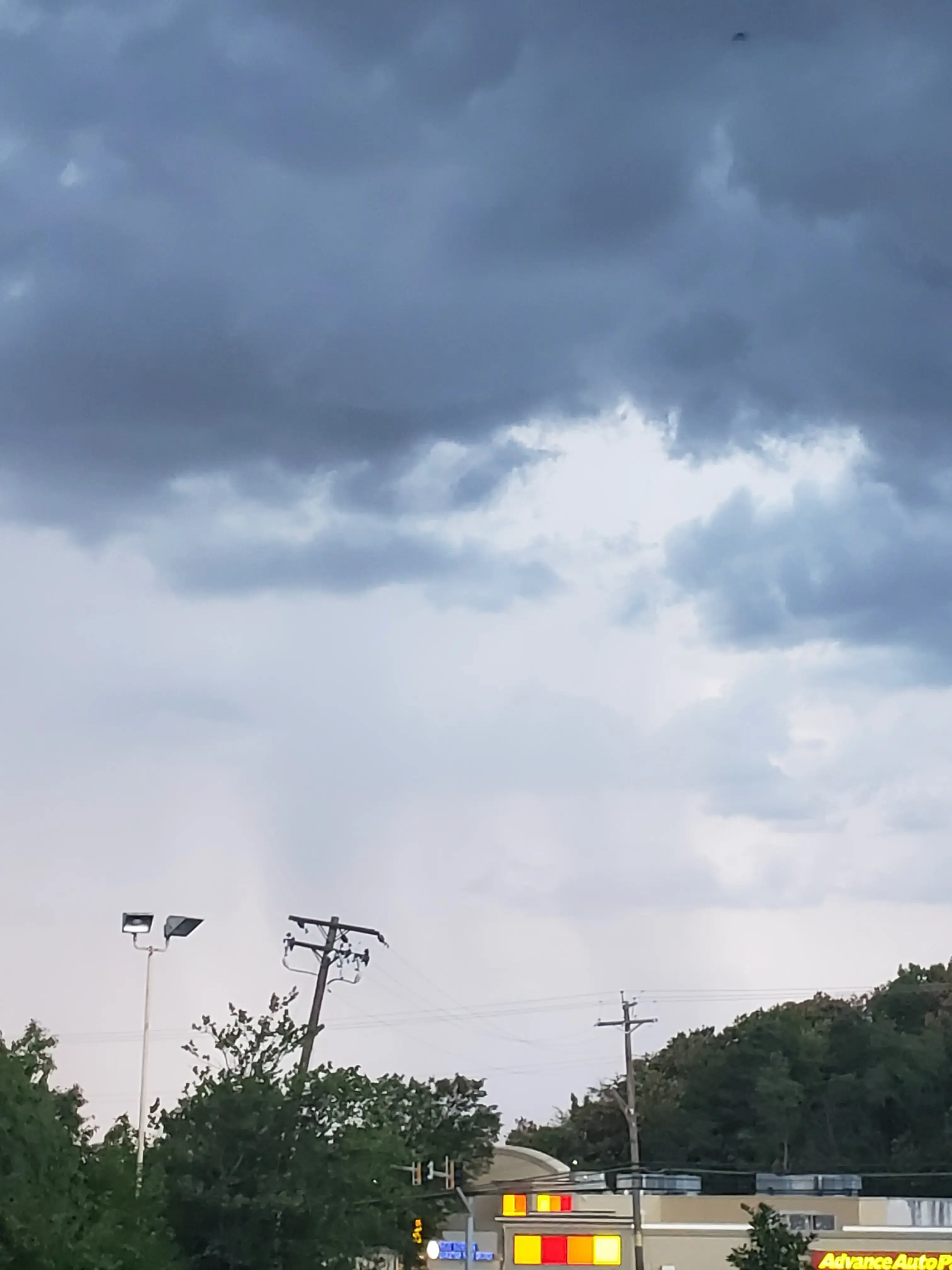 Forest Laundromat - Image 4