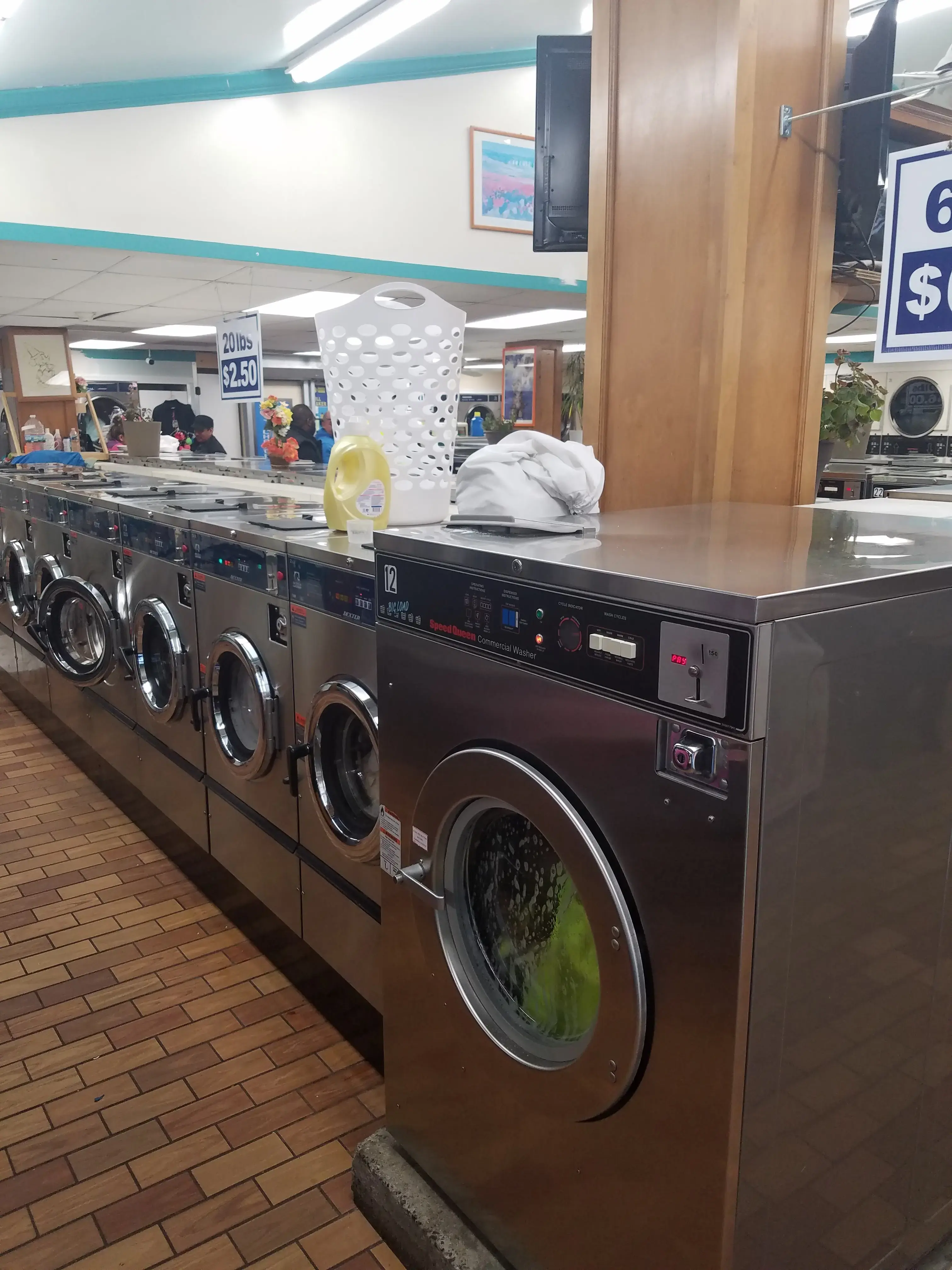 Forest Laundromat thumbnail 17