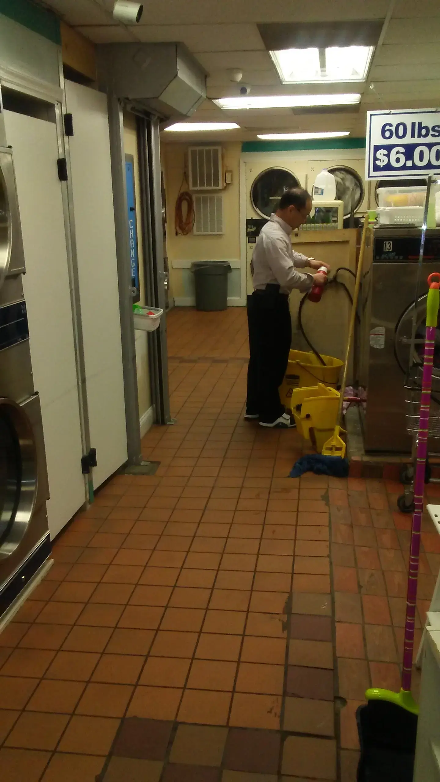 Forest Laundromat - Image 6