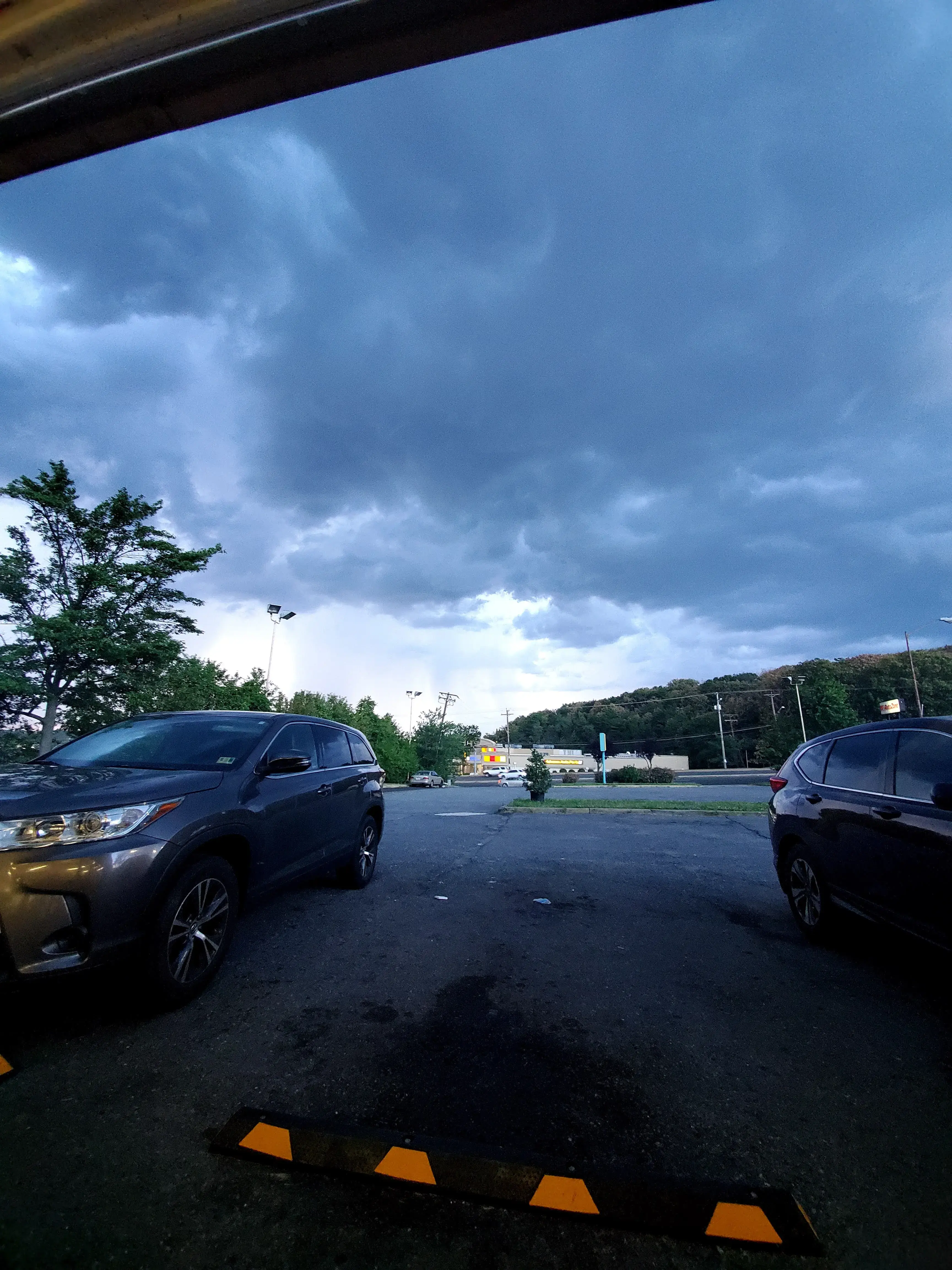 Forest Laundromat thumbnail 3