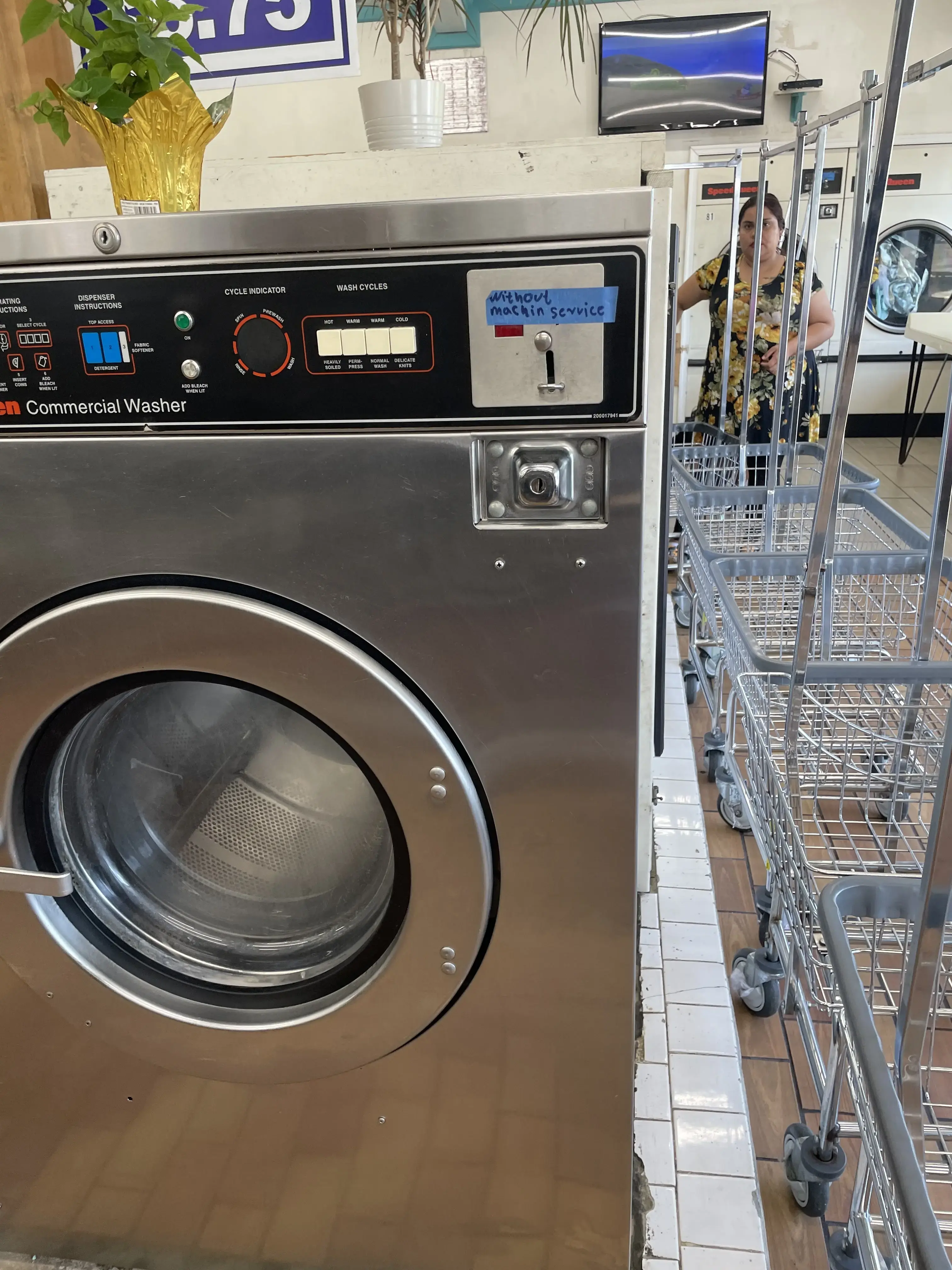 Forest Laundromat thumbnail 2