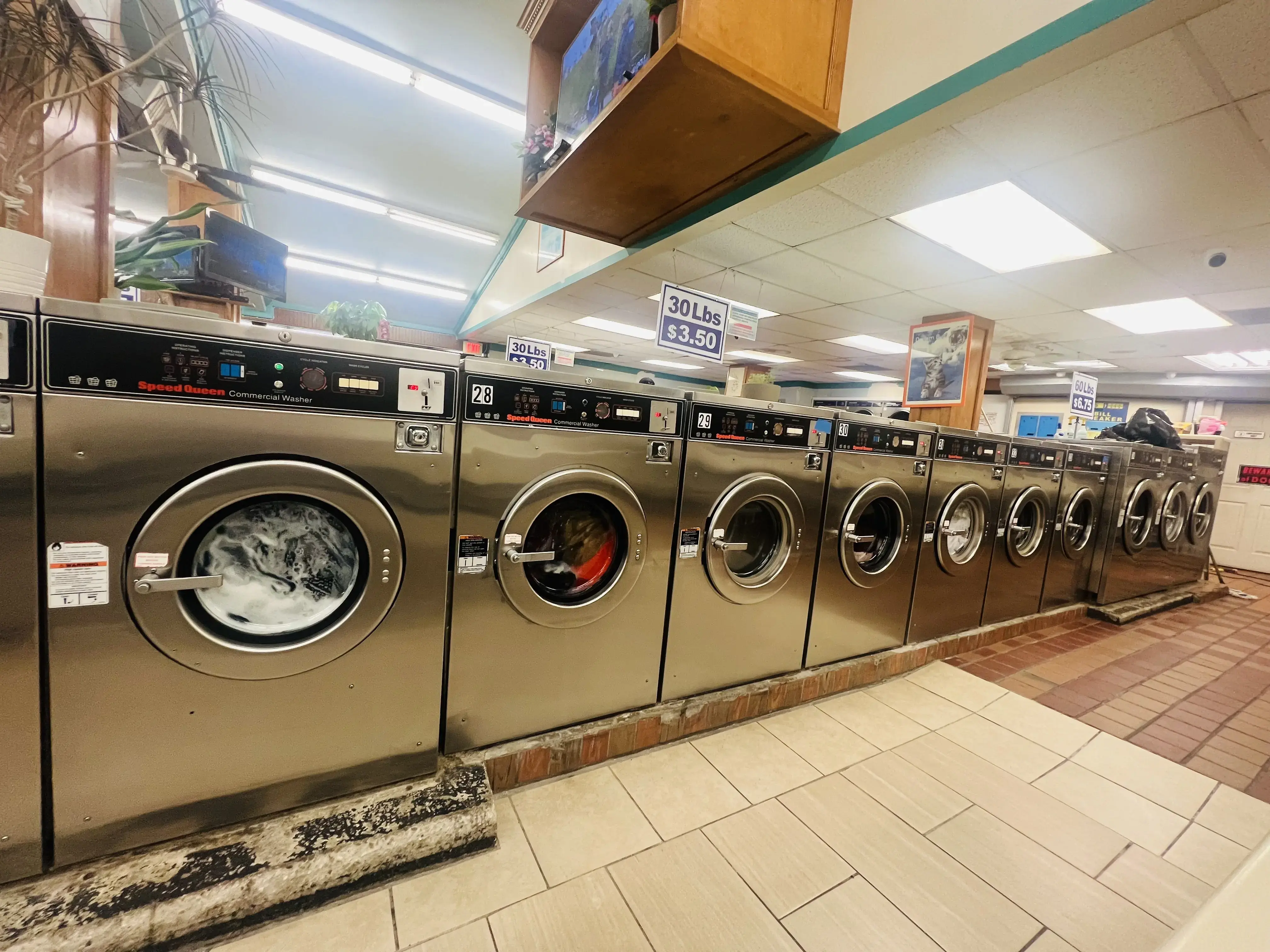 Forest Laundromat thumbnail 19