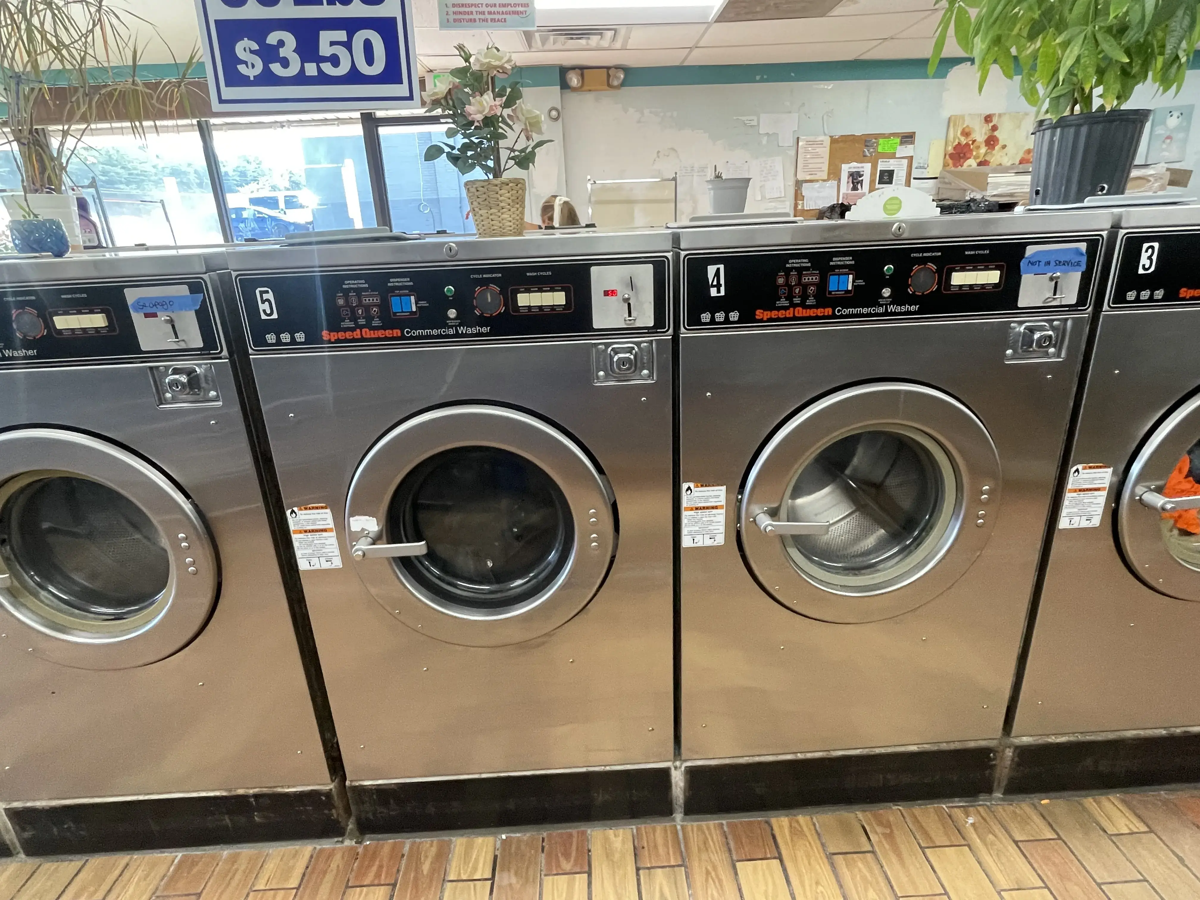 Forest Laundromat thumbnail 18