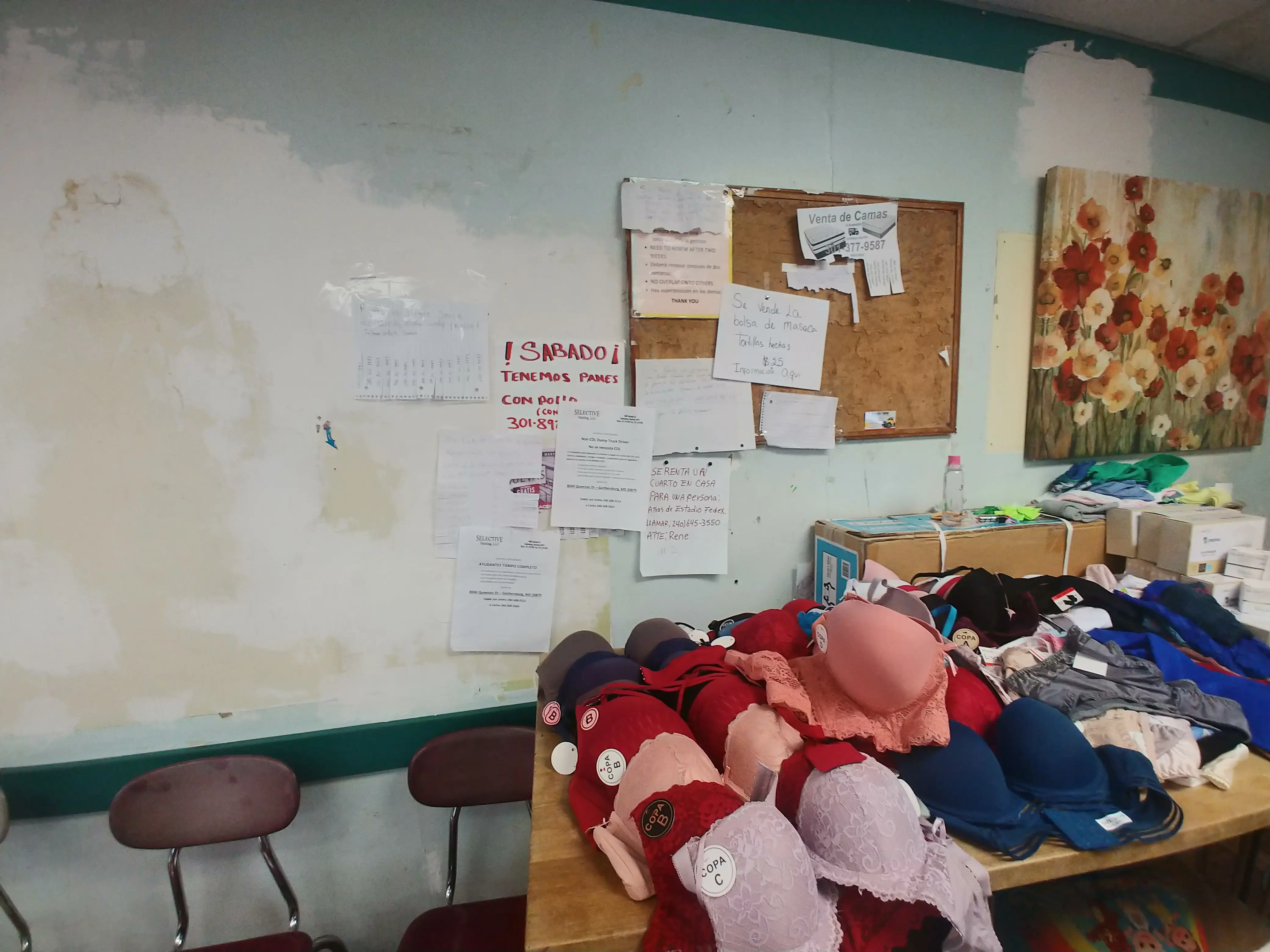 Forest Laundromat - Image 8