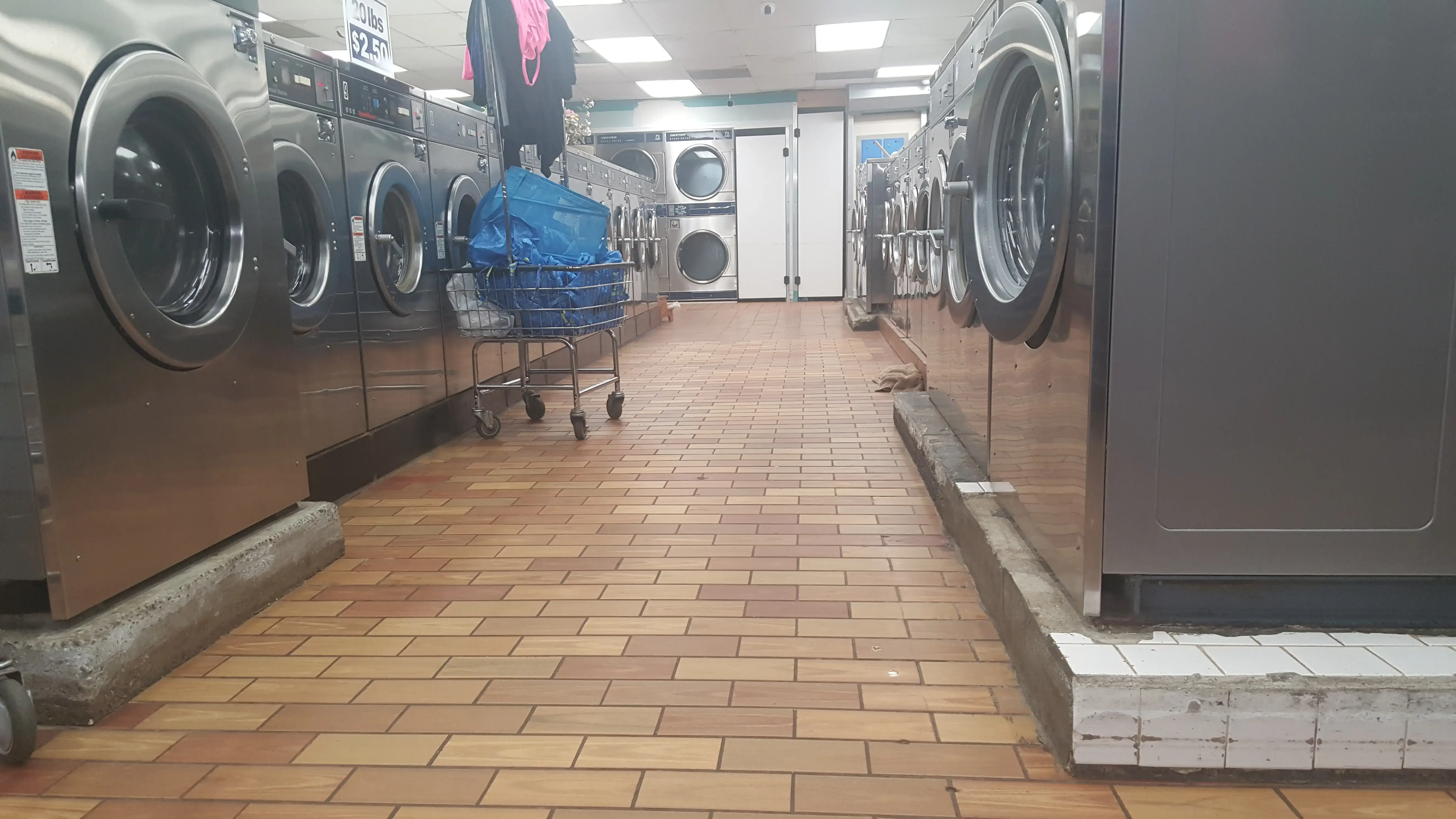 Forest Laundromat - Image 9