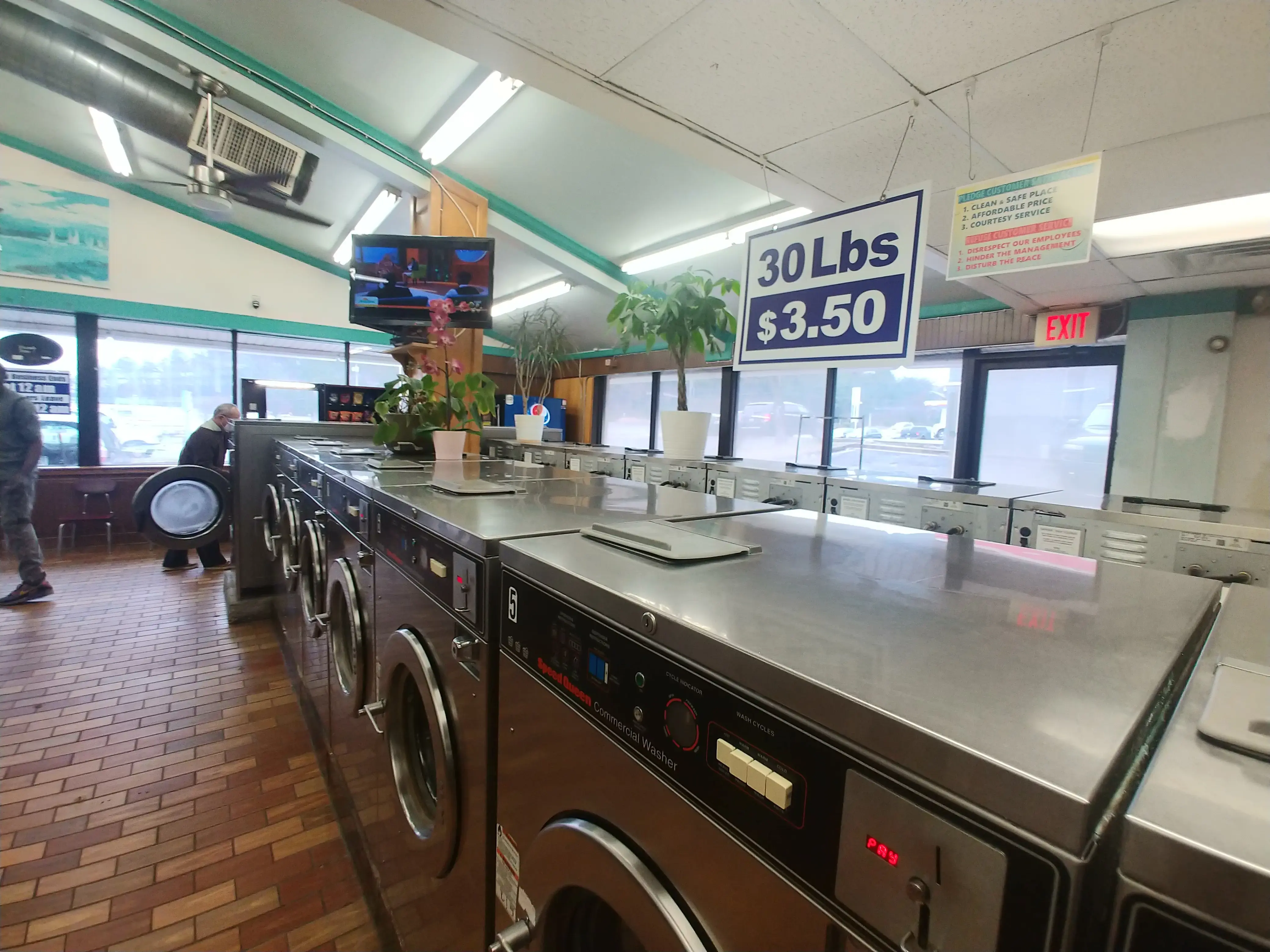 Forest Laundromat - Image 15