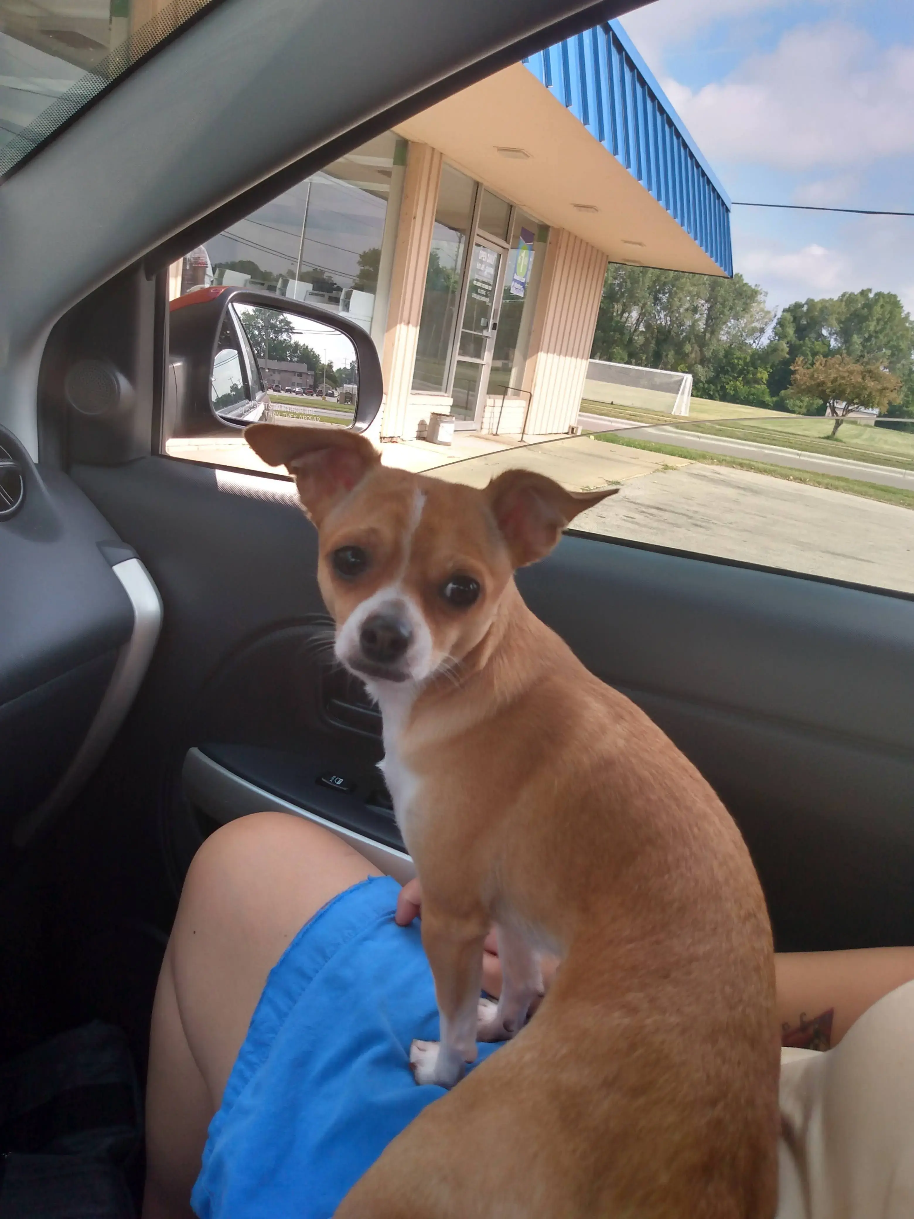 Fort Atkinson Laundromat, LLC - Image 11