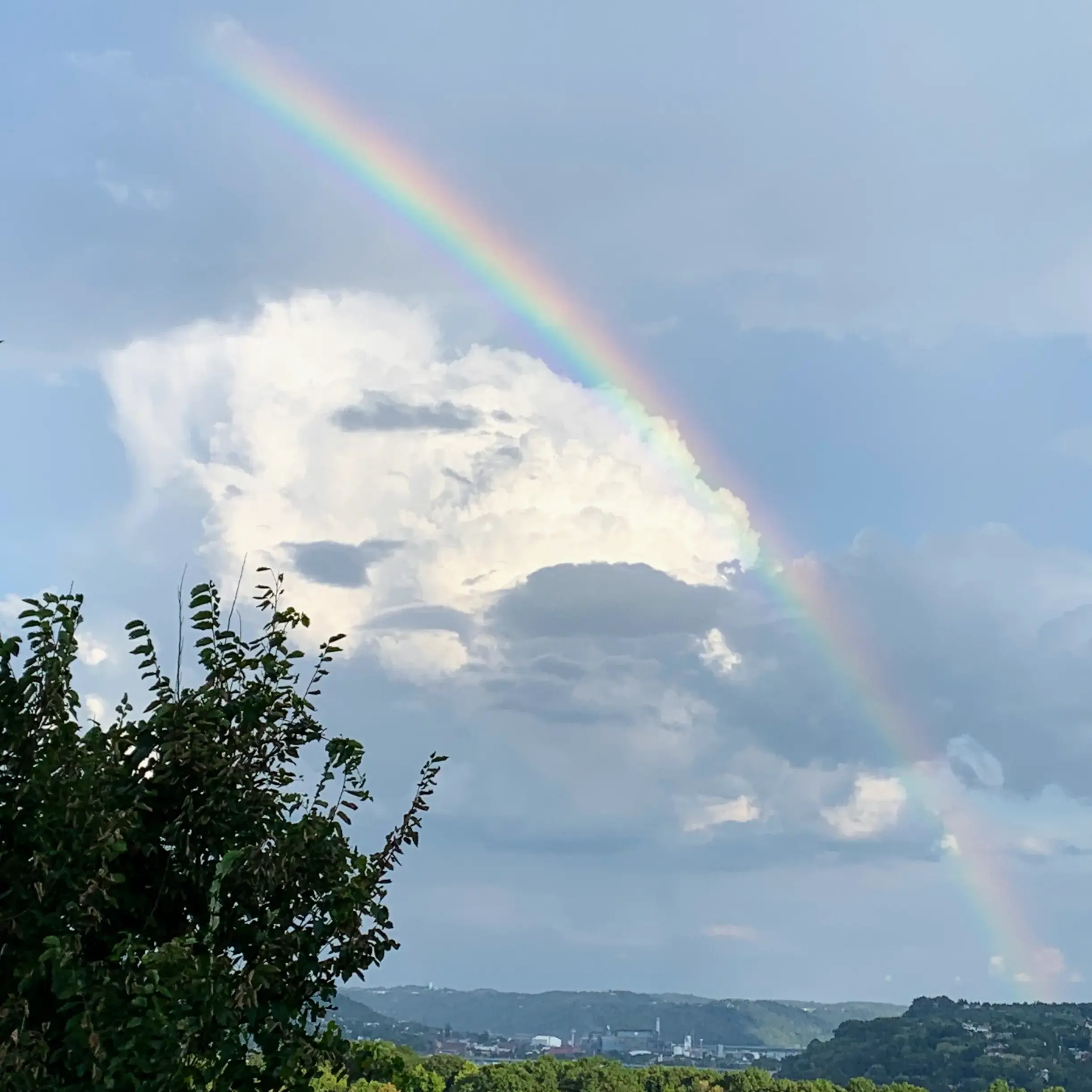 Four Seasons Dry Cleaners - Image 14