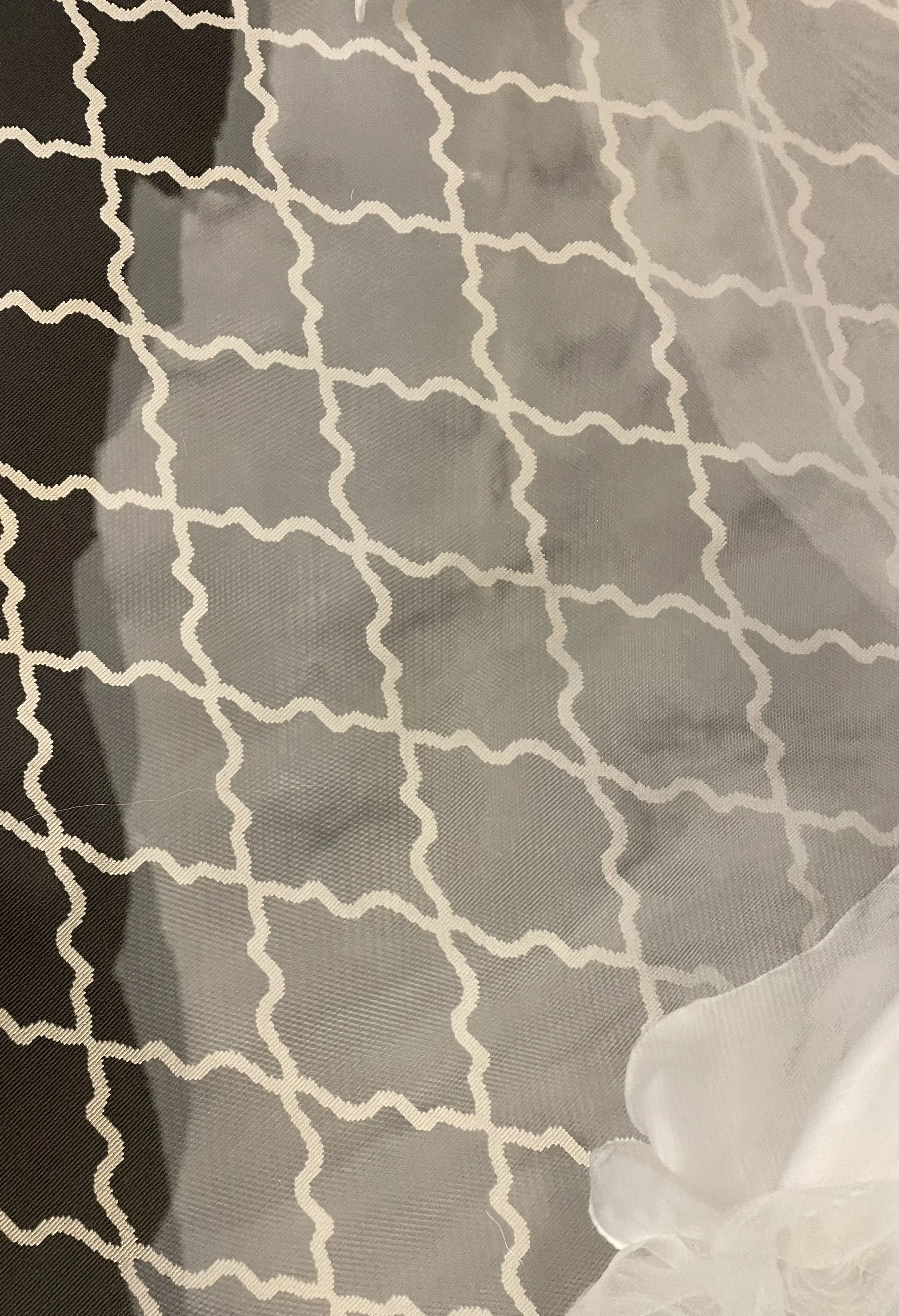 Fragile Fit - Image 16