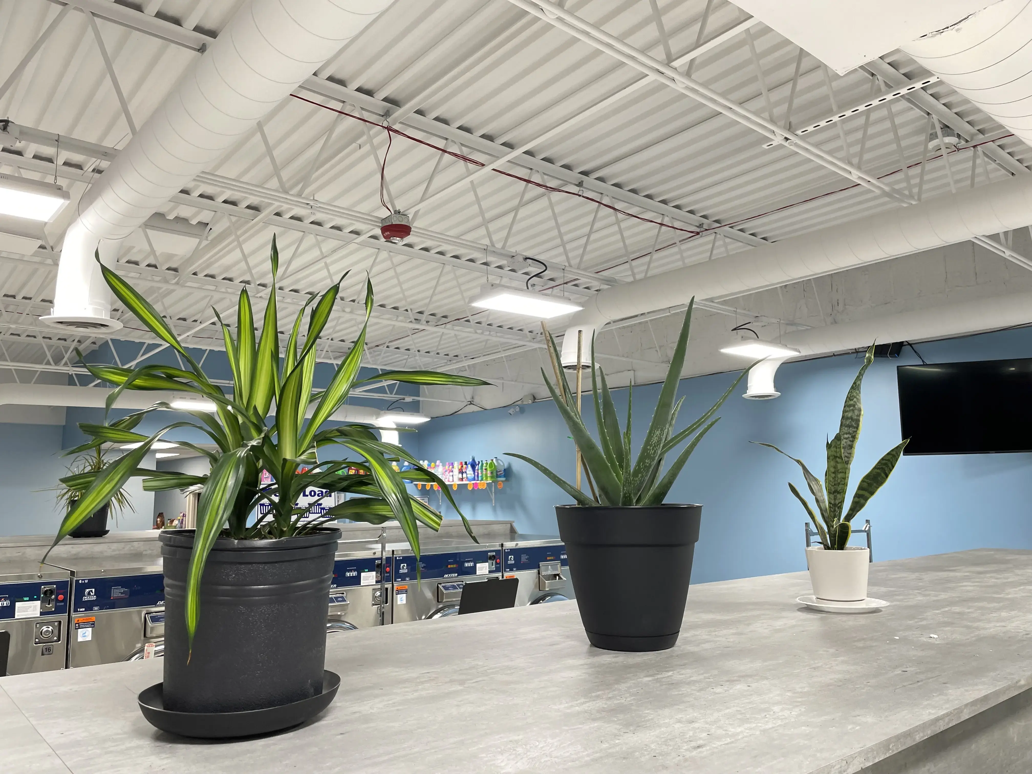 Francos Coin Laundry - Image 7