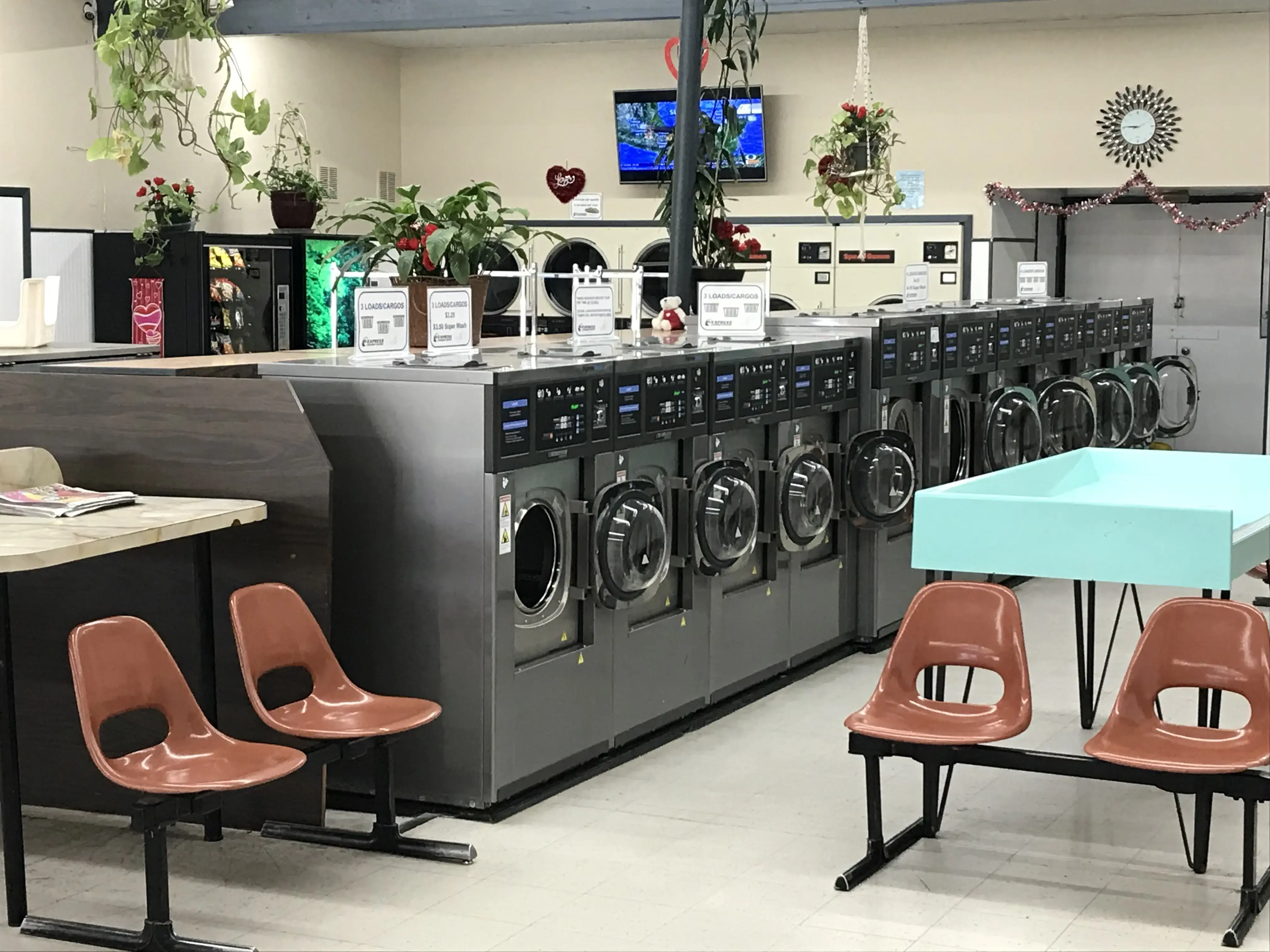 Franklin Speed Wash - Image 2