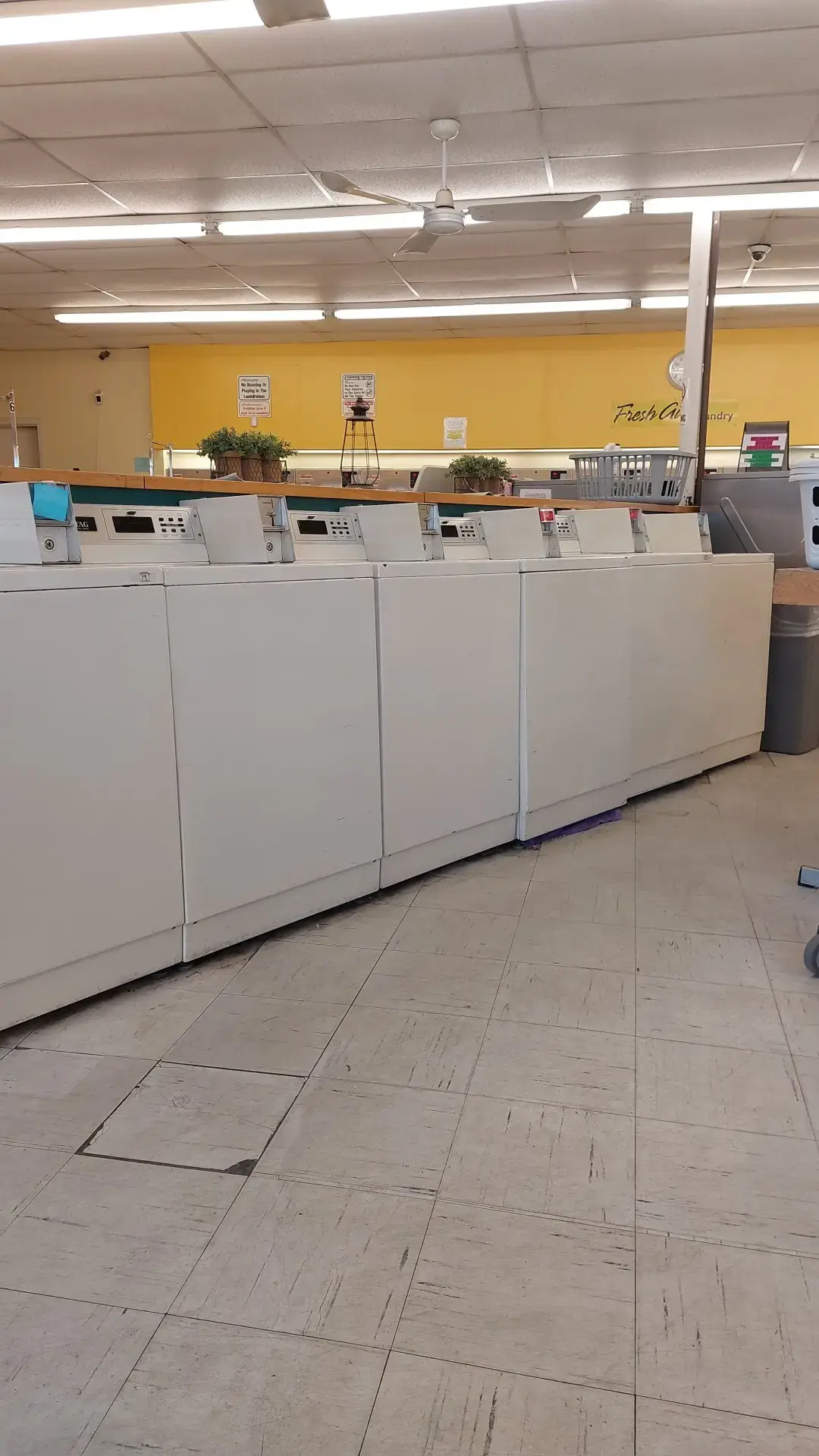 Fresh Air Laundry - Image 8