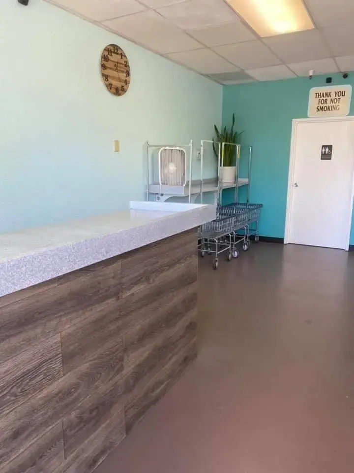 Fresh and Clean Laundry - Image 3