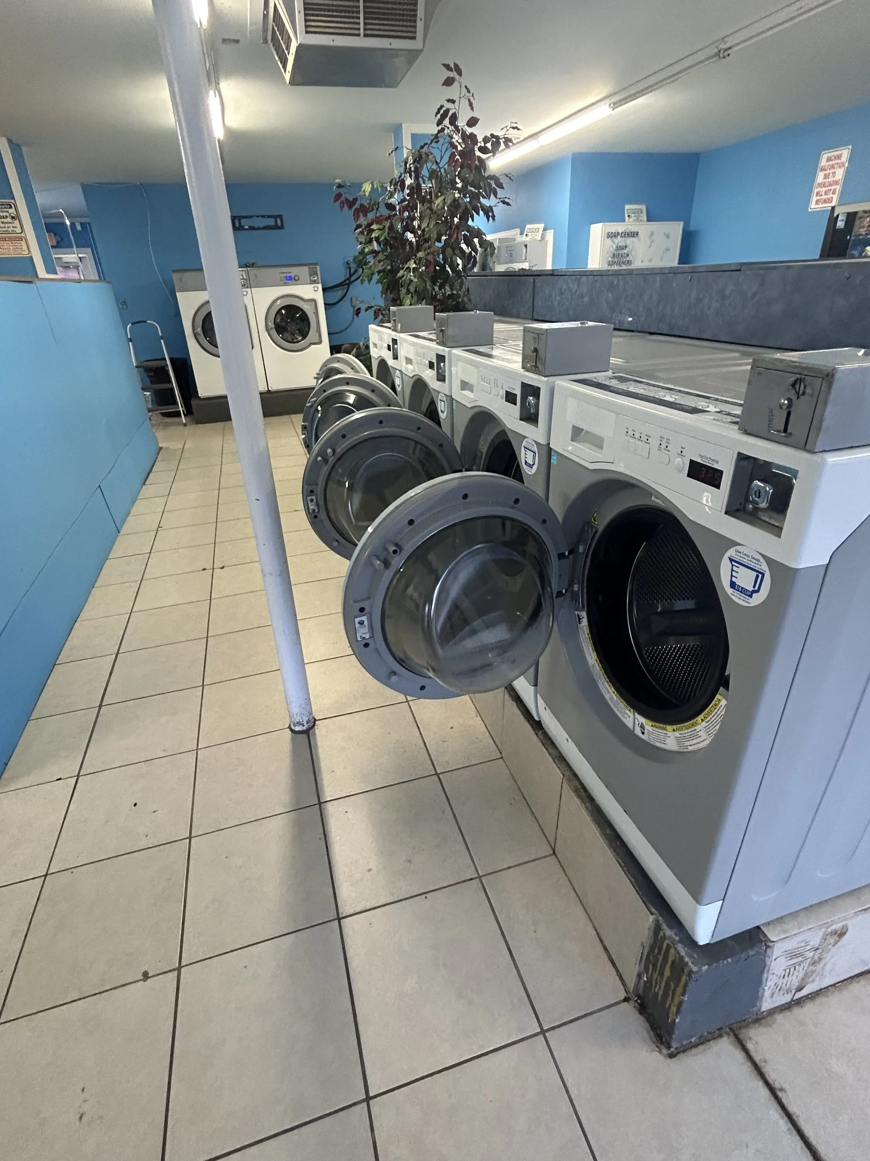 Fresh and Clean Laundry thumbnail 4