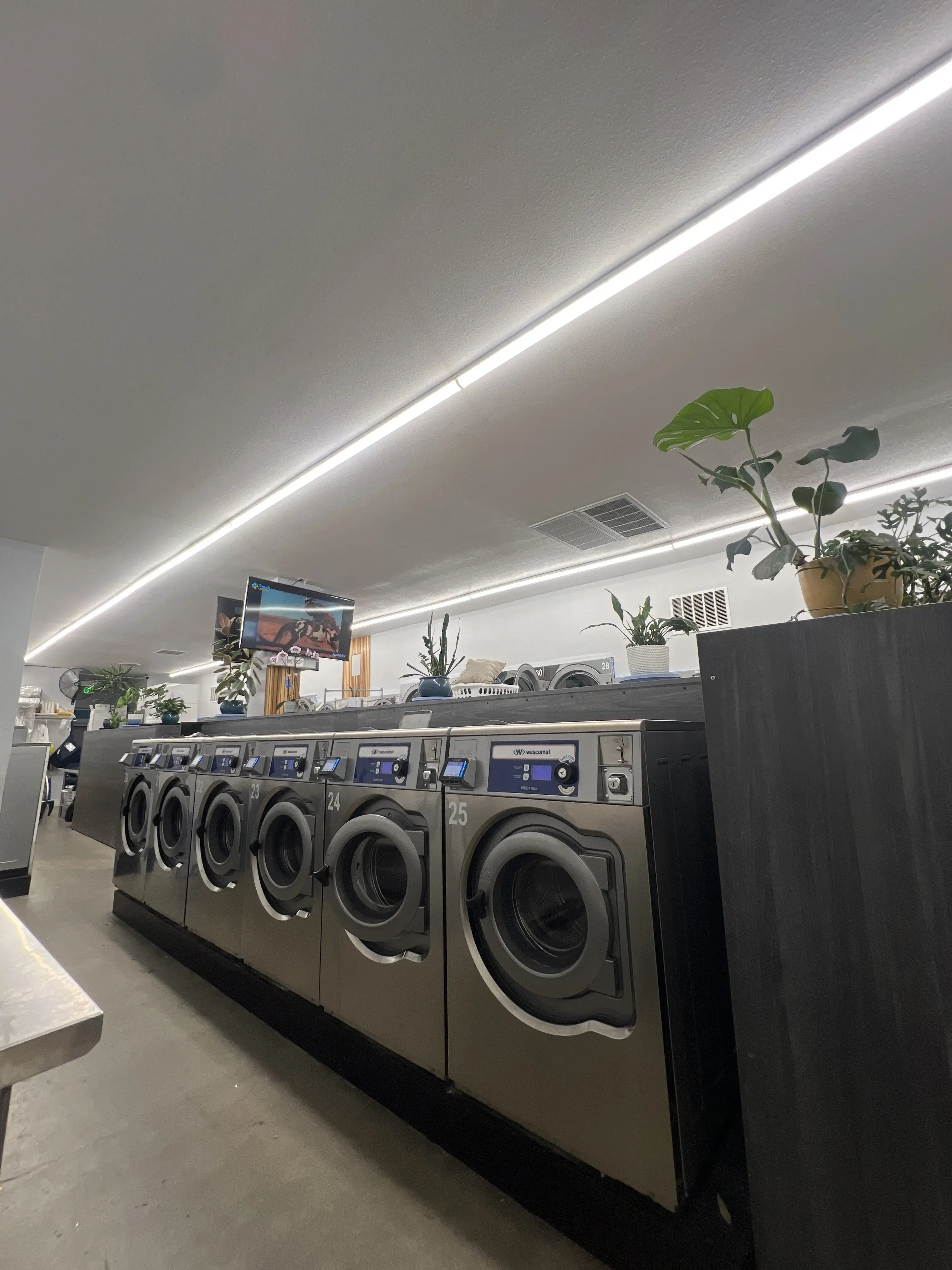 Fresh Laundries - Image 4