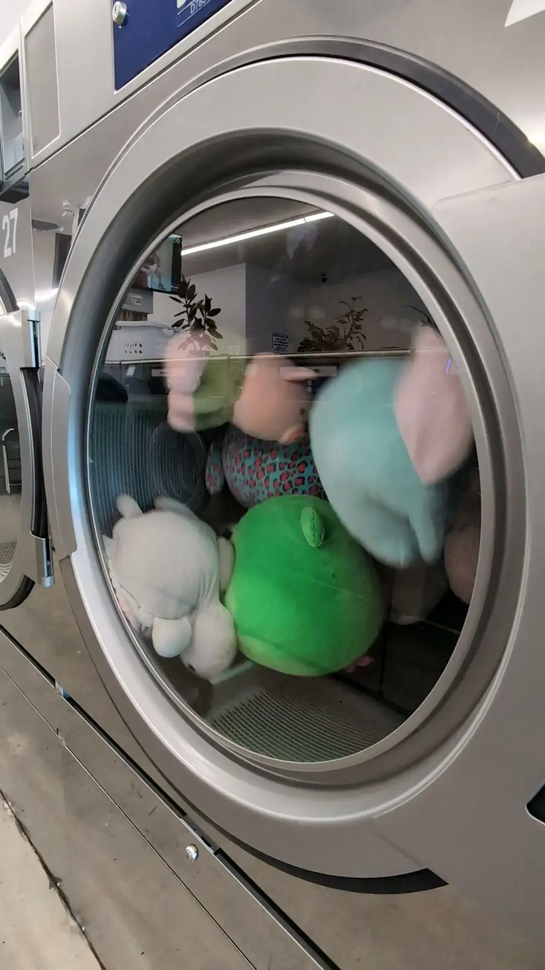 Fresh Laundries - Image 14