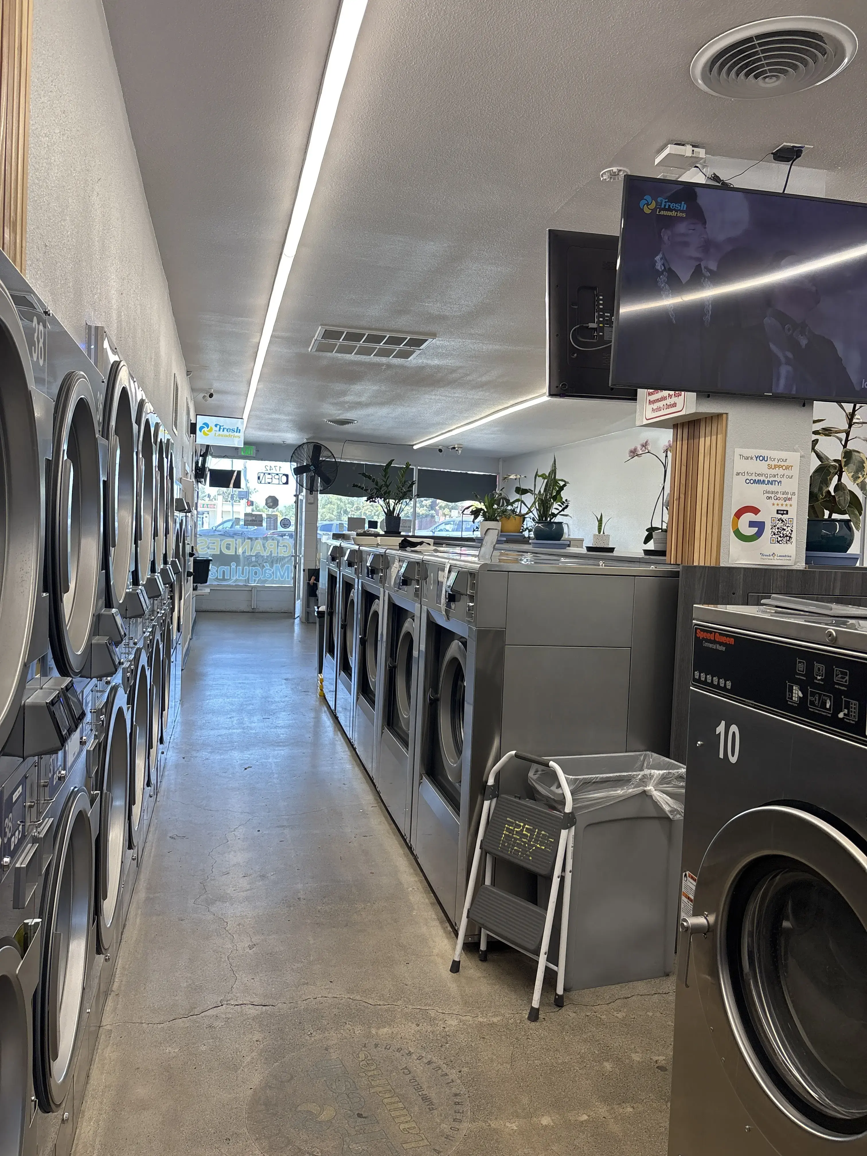 Fresh Laundries thumbnail 3