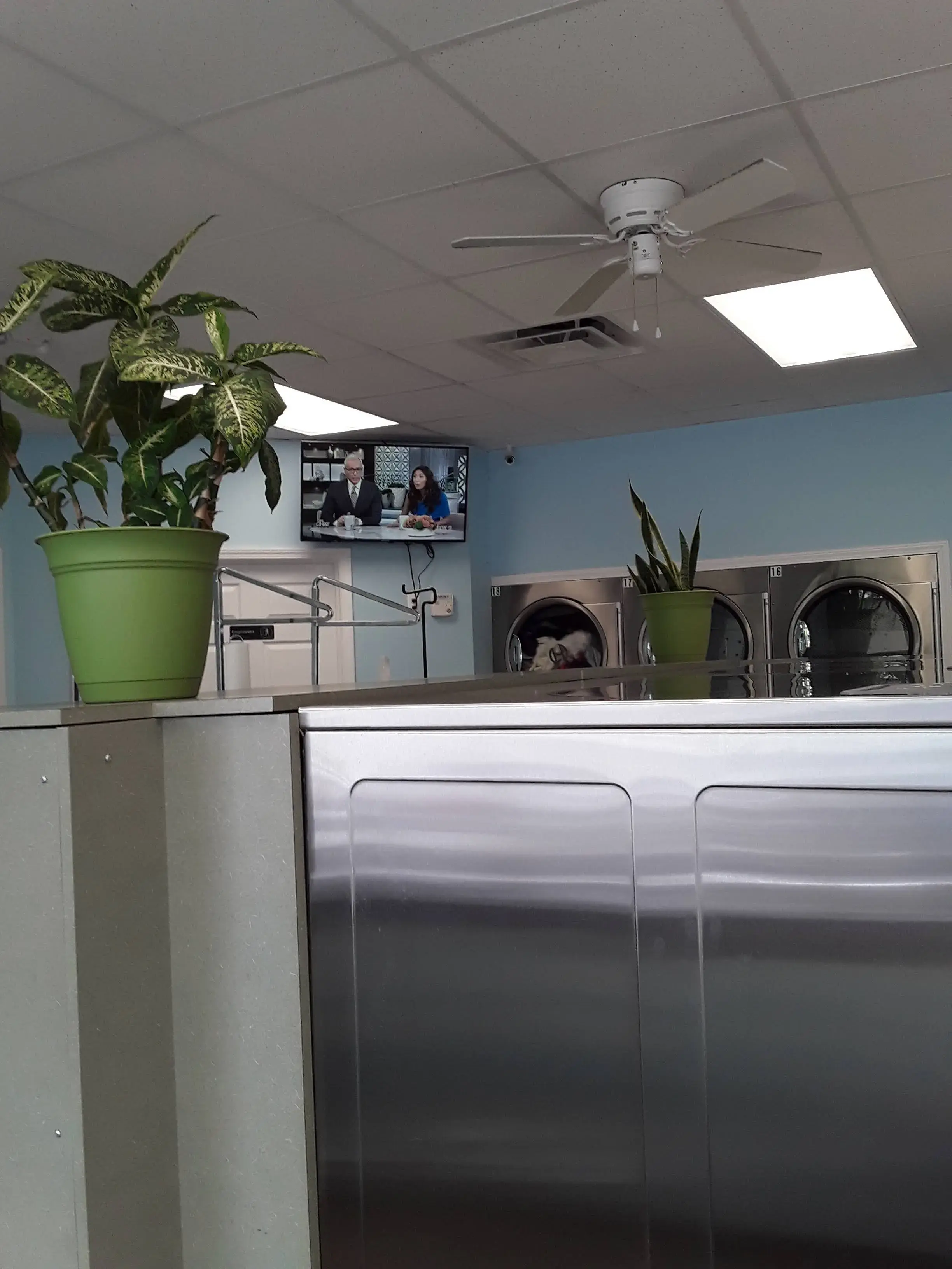 Fresh Wave Coin Laundry - Image 9