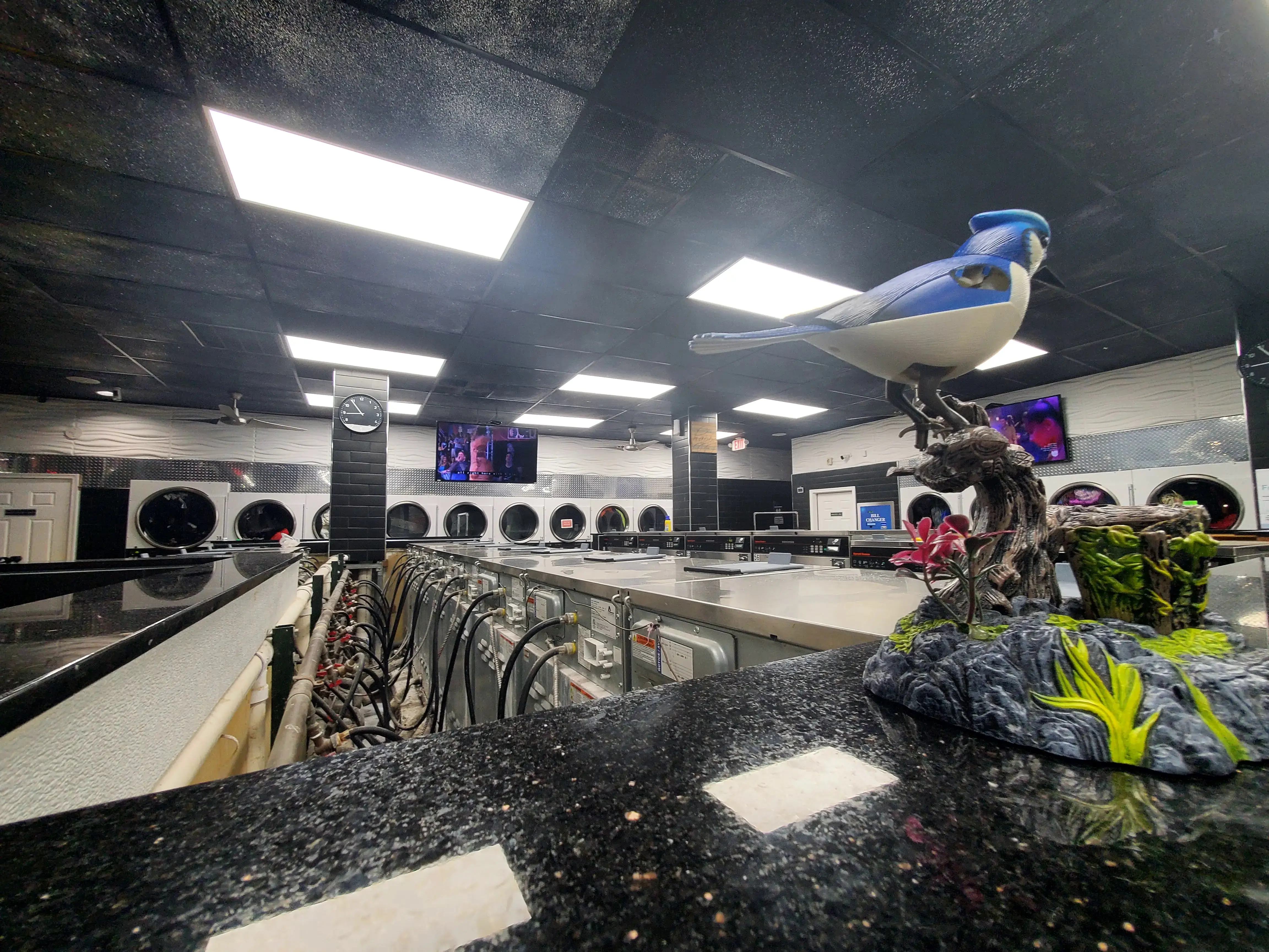Freshwash Laundromat thumbnail 12