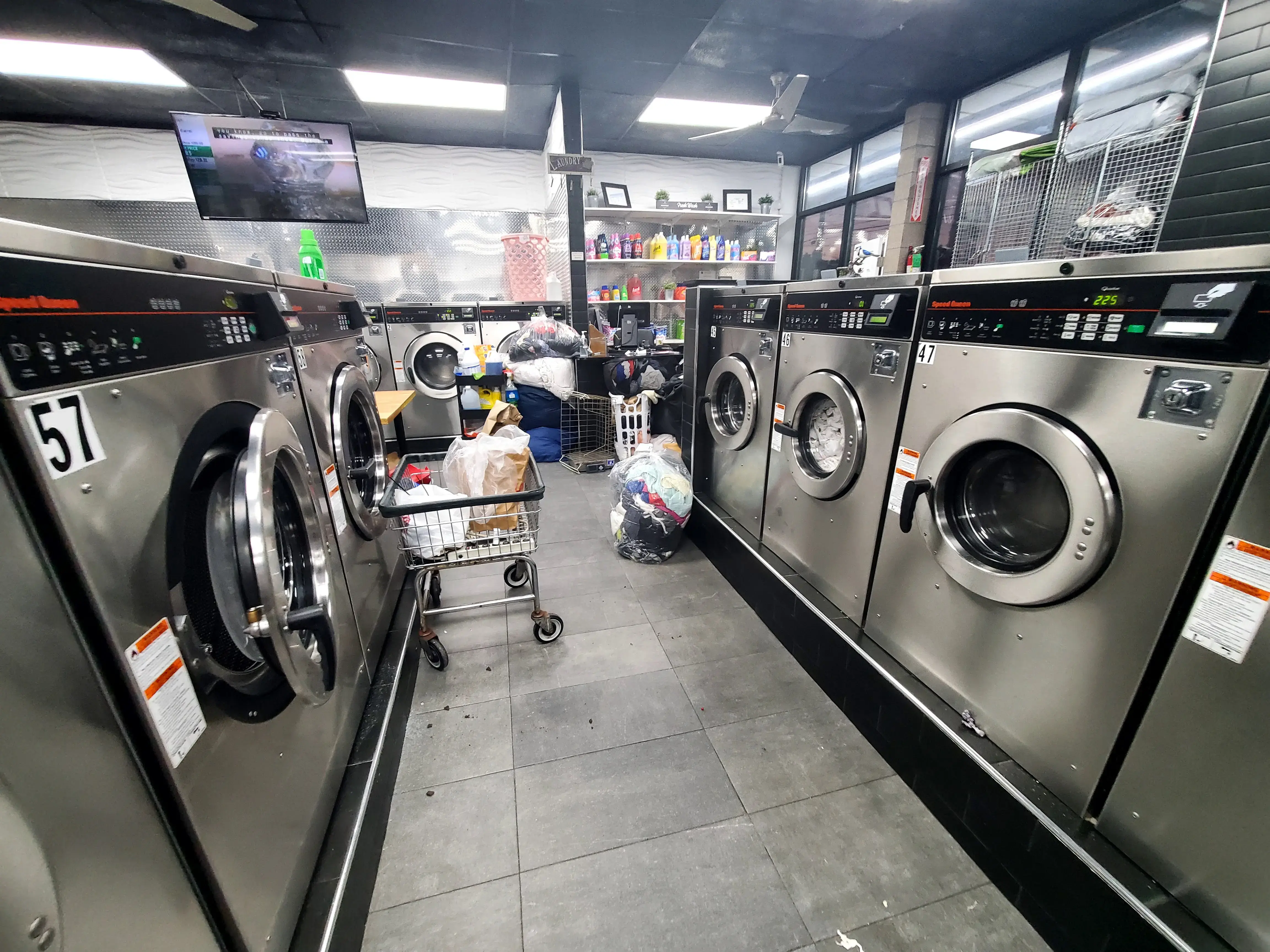 Freshwash Laundromat thumbnail 2