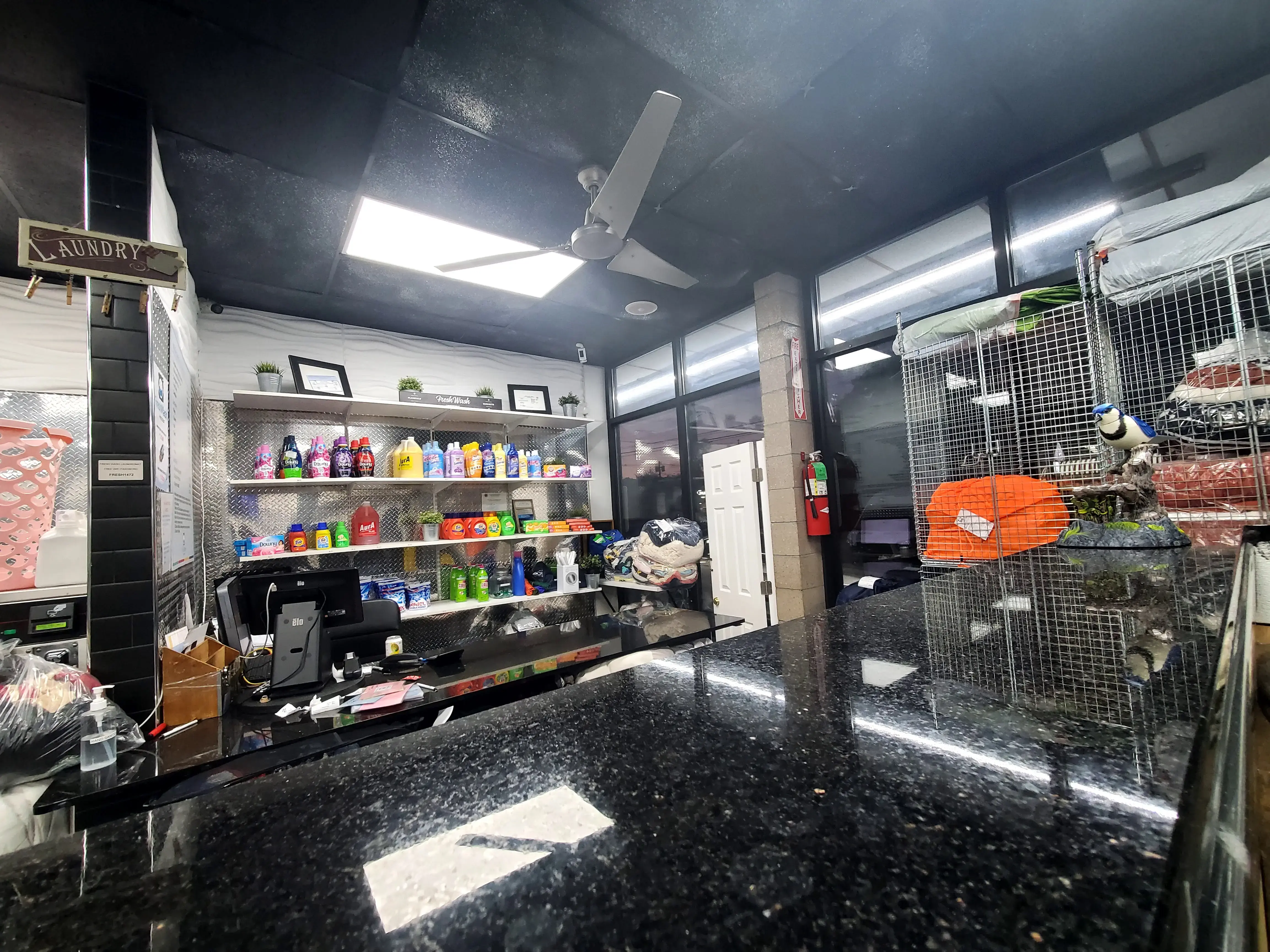 Freshwash Laundromat - Image 7