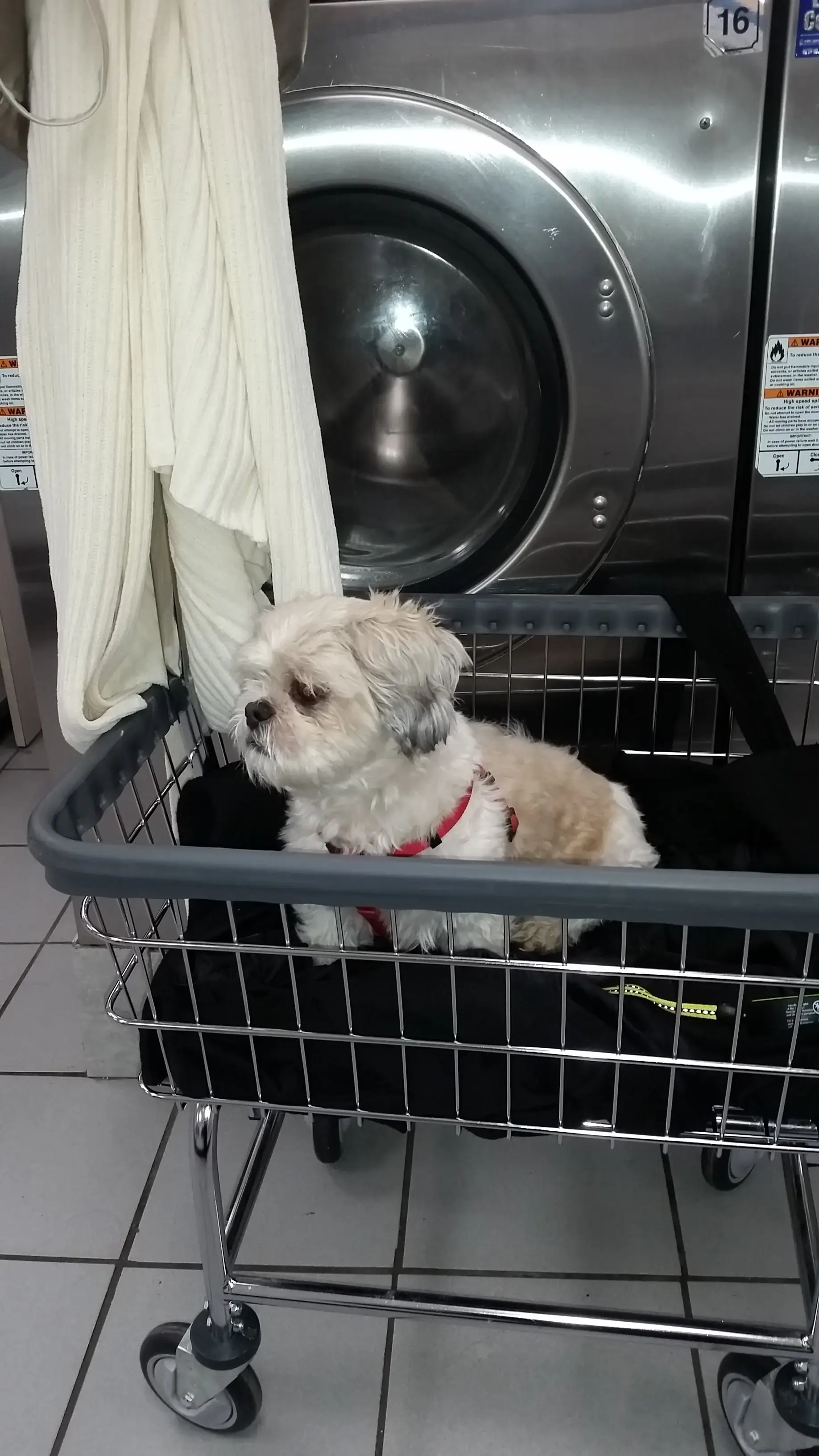 Friendly Wash Laundromat - Image 14