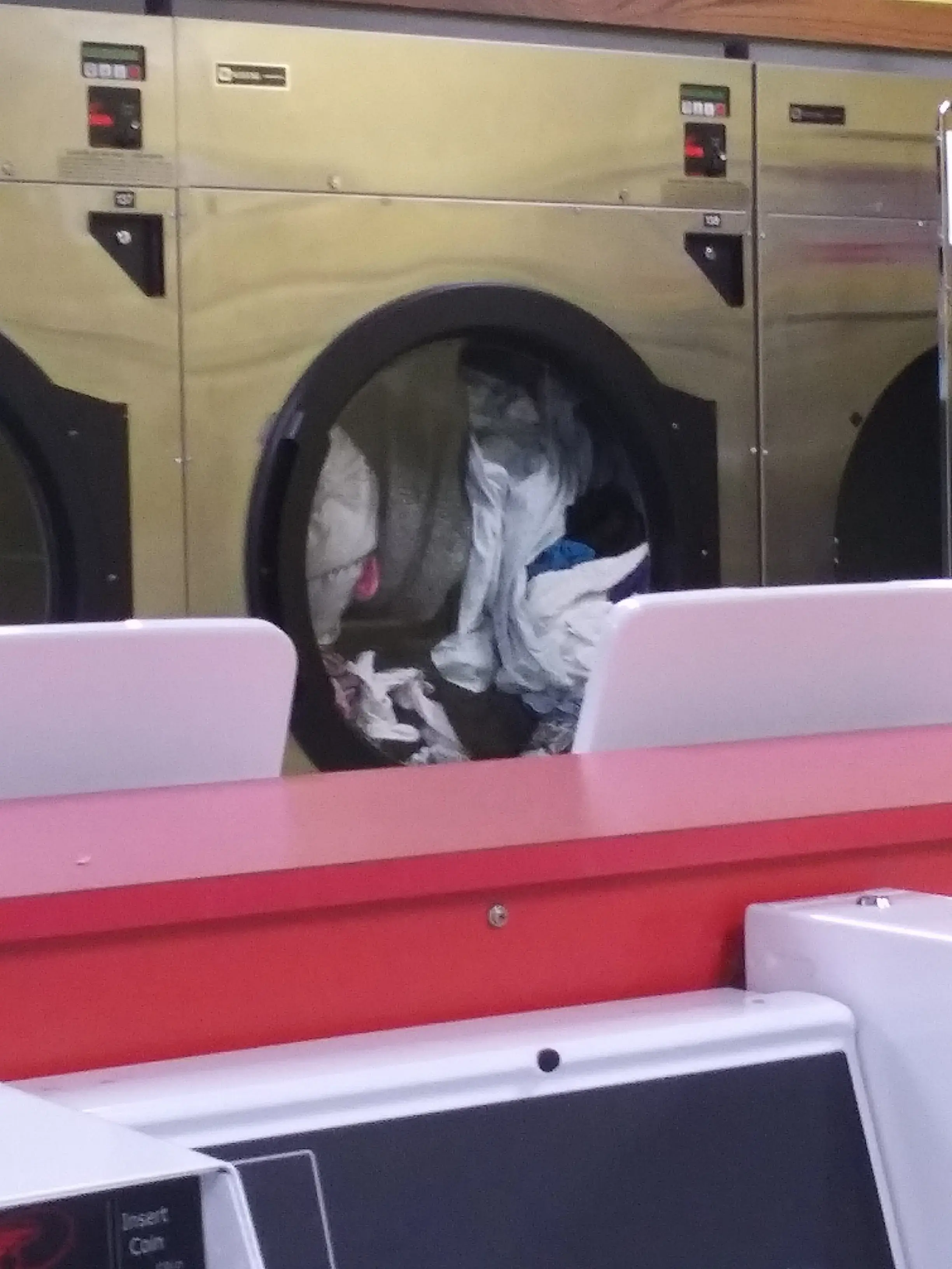 Fun Wash - Cantrell thumbnail 17