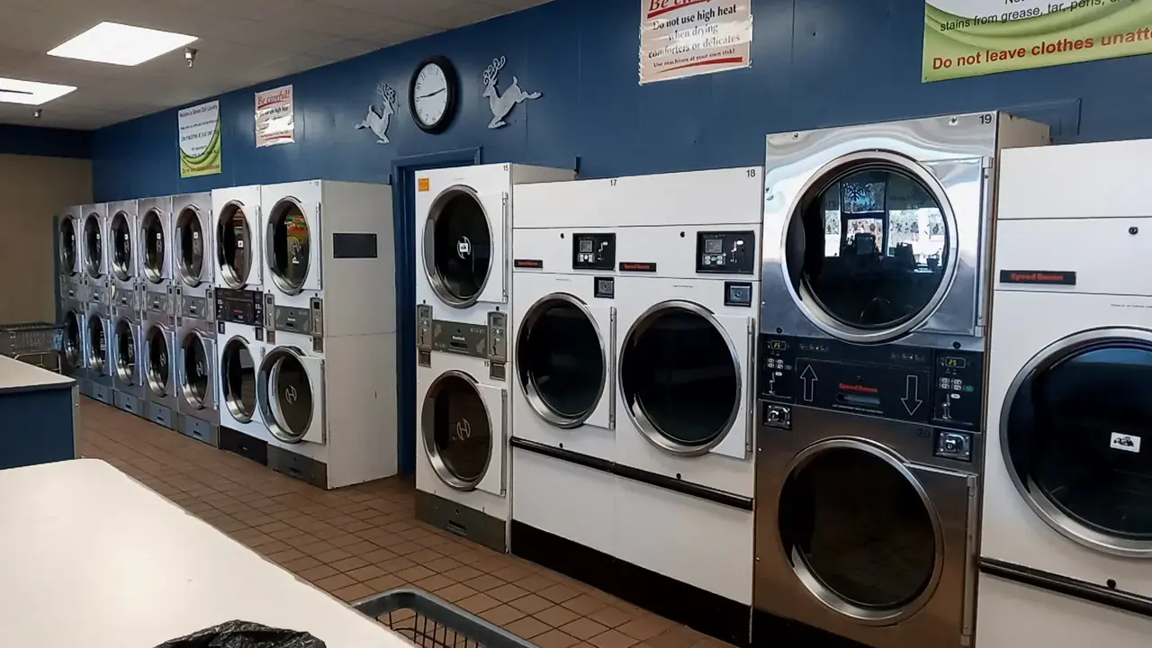 Garden Coin Laundry thumbnail 20