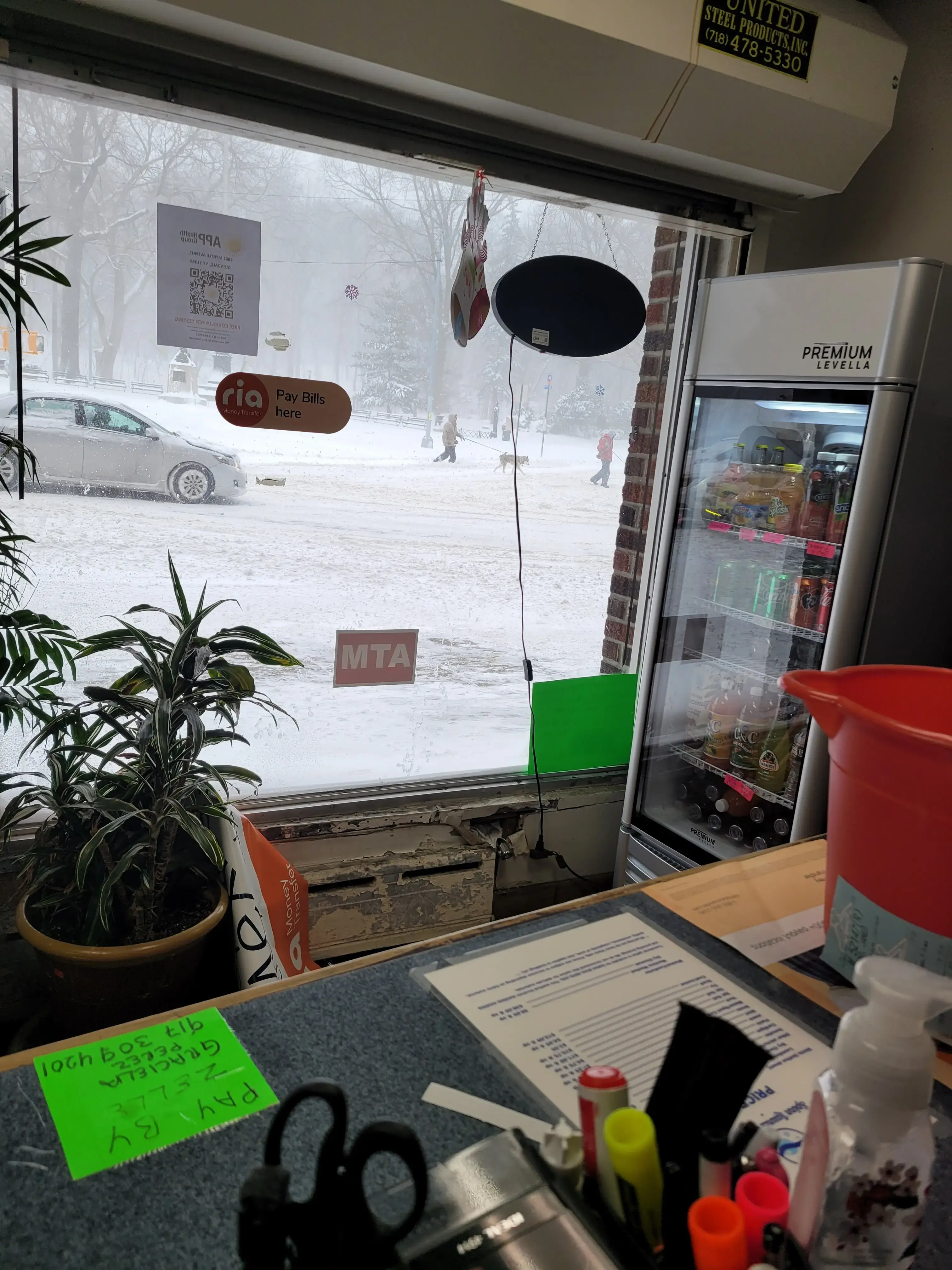 Garden Laundromat thumbnail 17