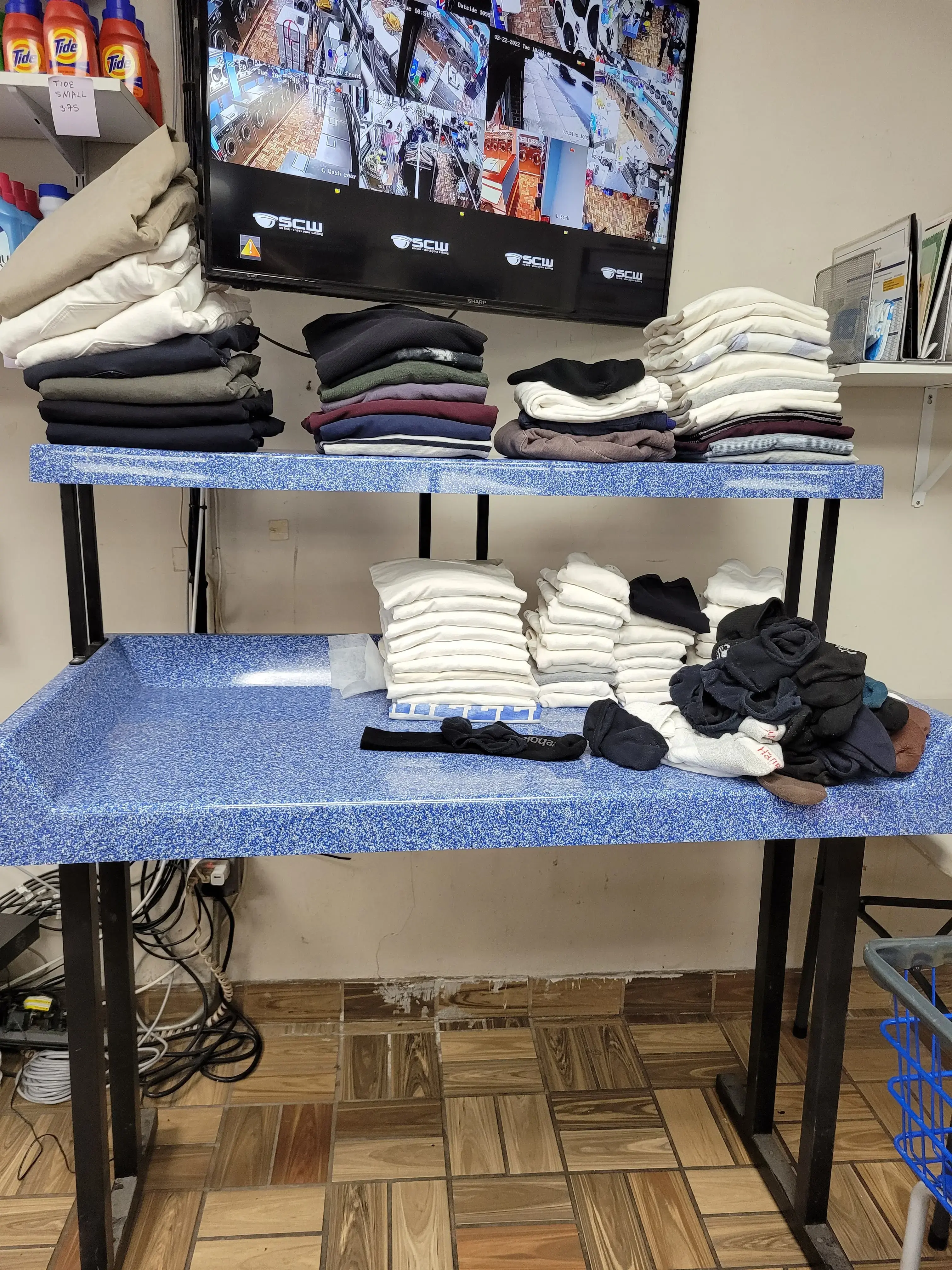 Garden Laundromat thumbnail 16