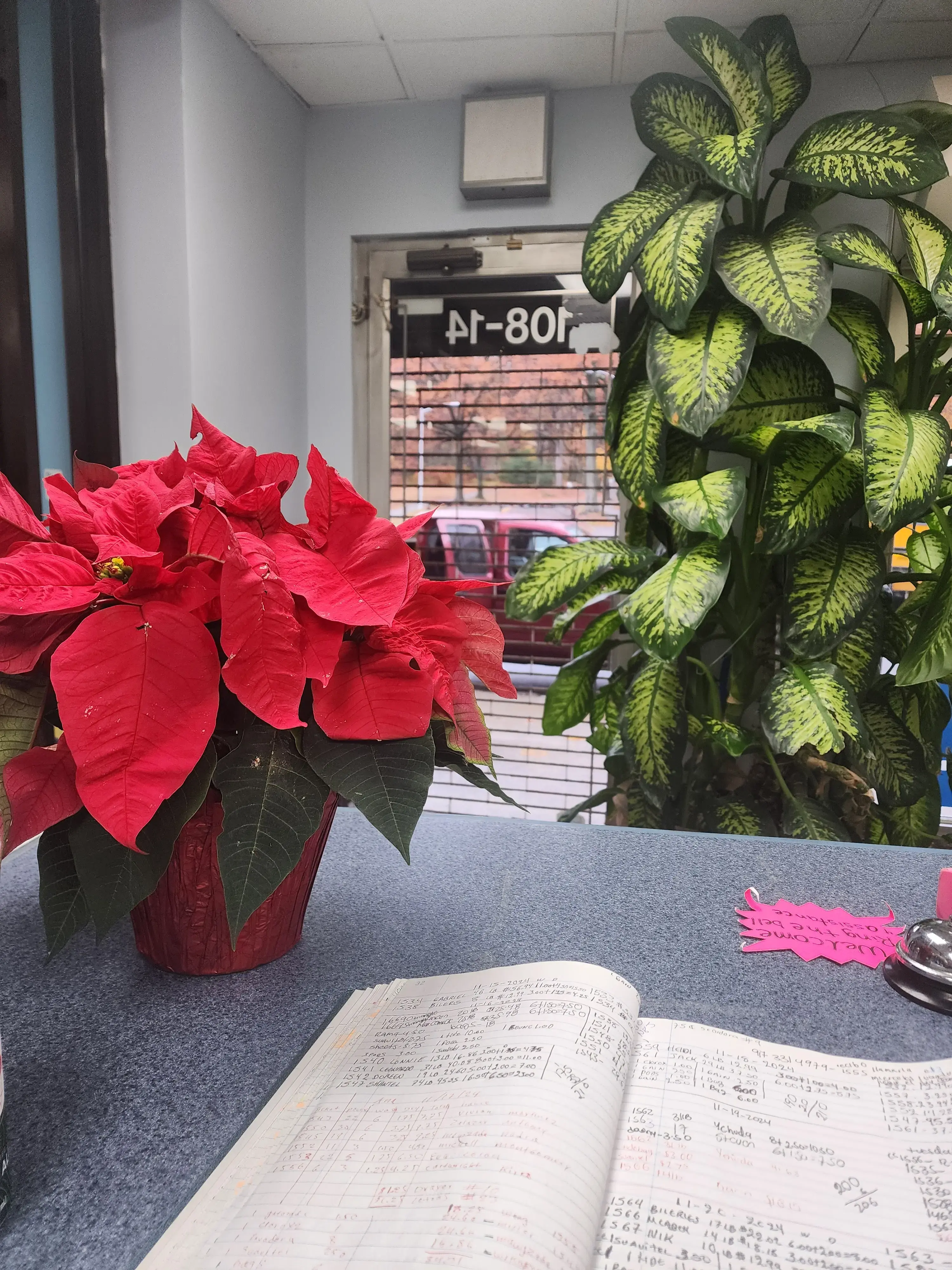 Garden Laundromat - Image 6